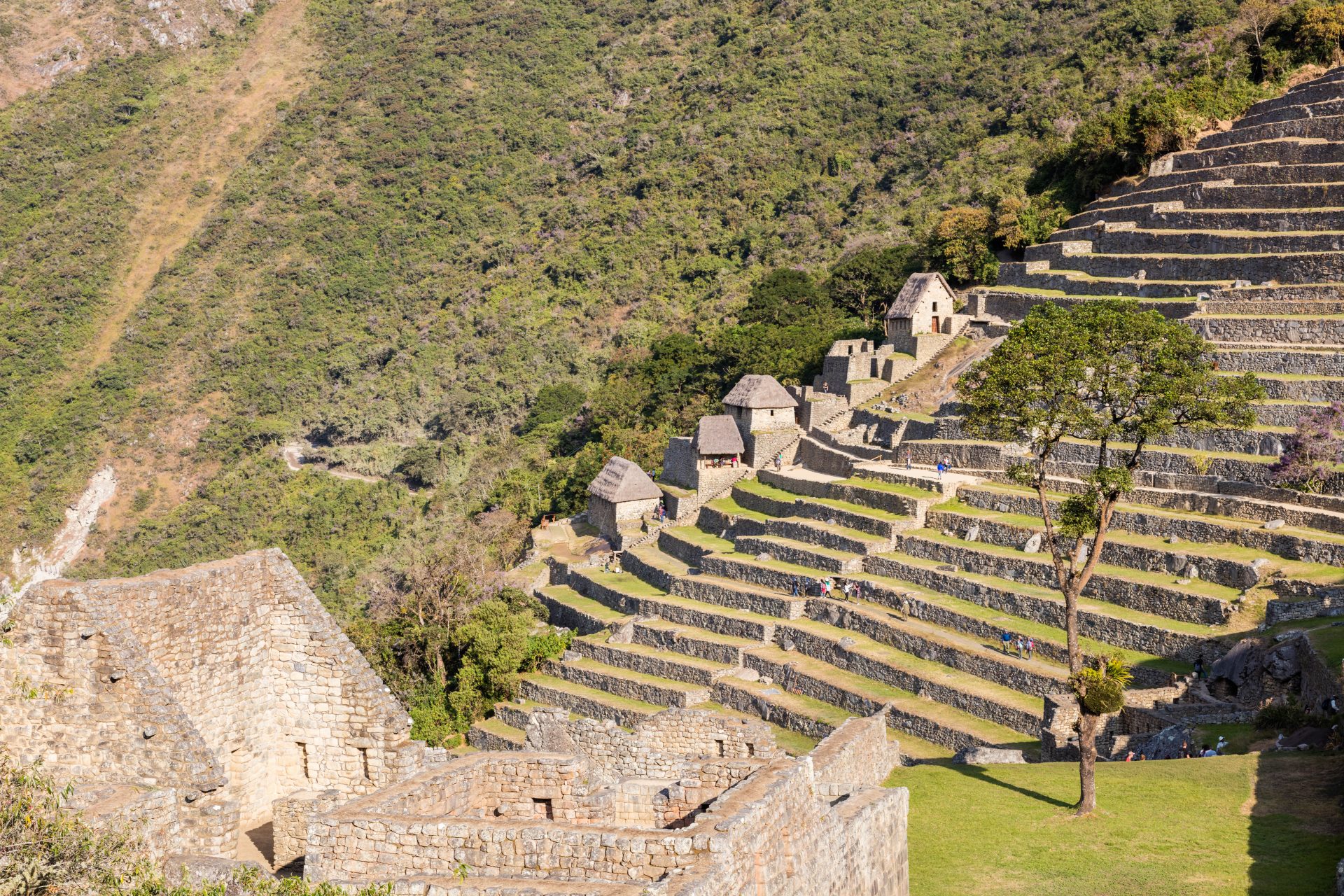 Why did Machu Picchu fall?