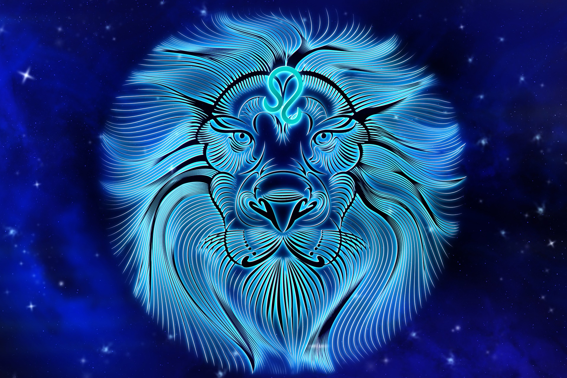 Lion (23 juillet - 22 août)