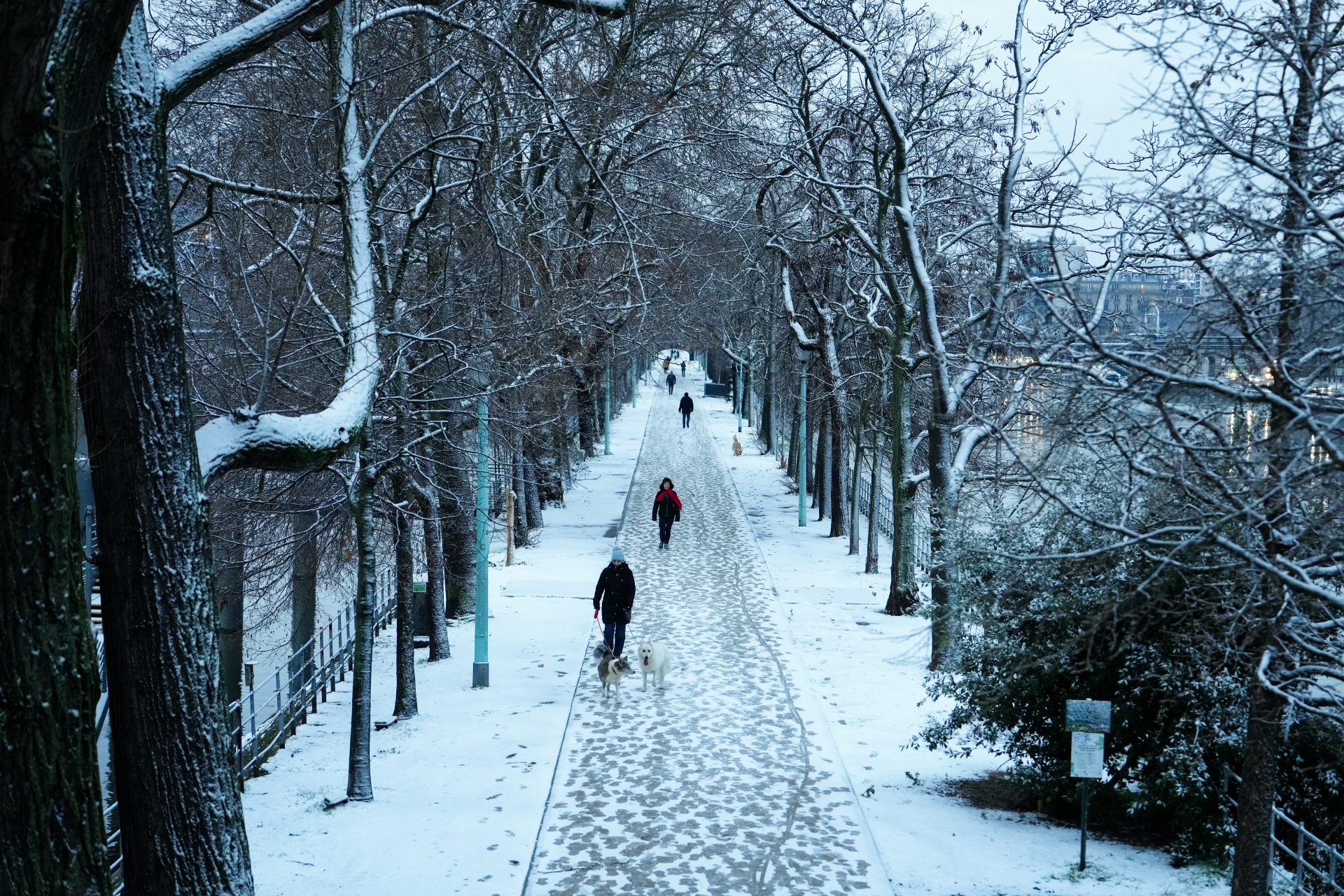 Dream away while you look at Paris covered in snow!