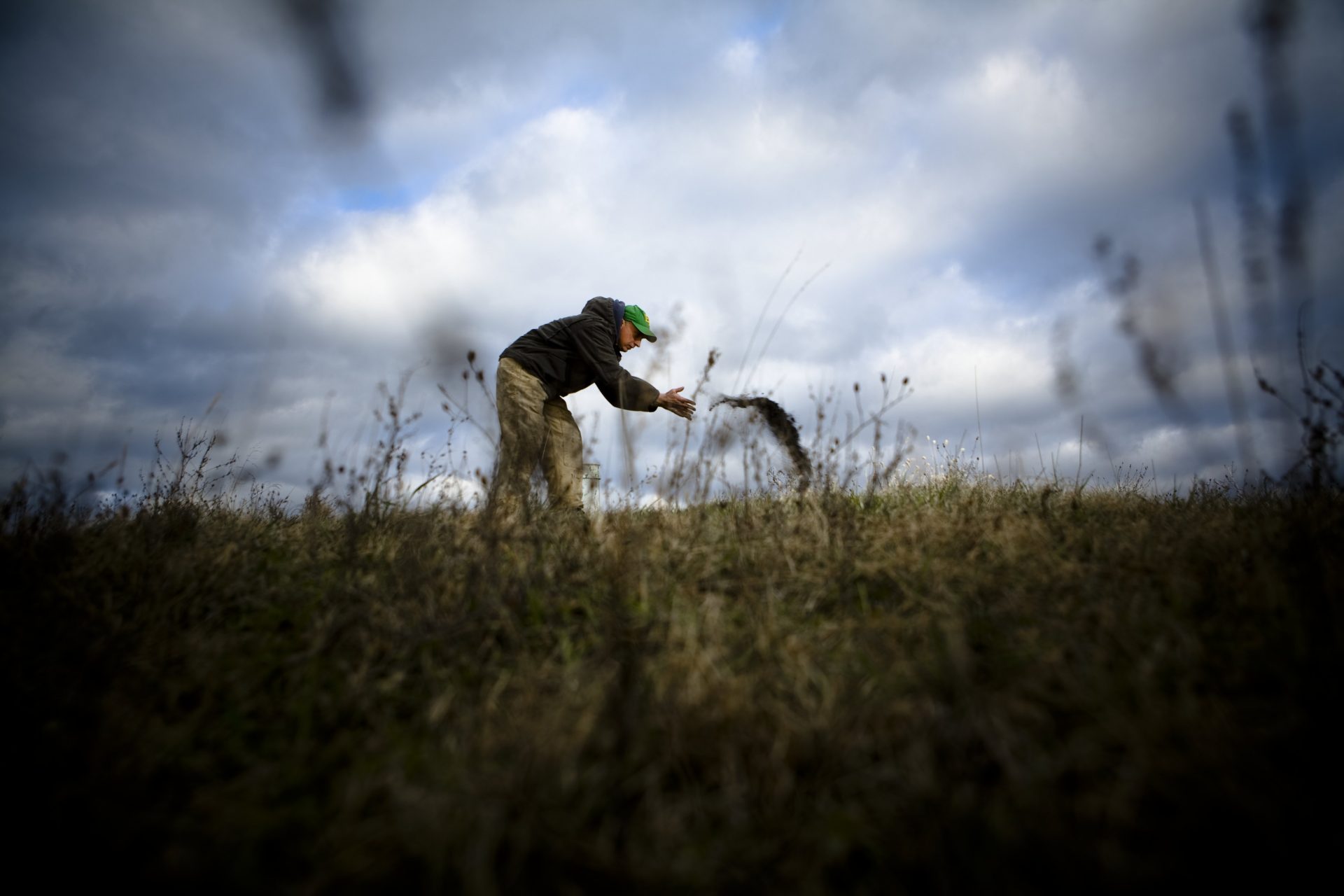 Biochar: Using charcoal to improve soil health and remove CO2 