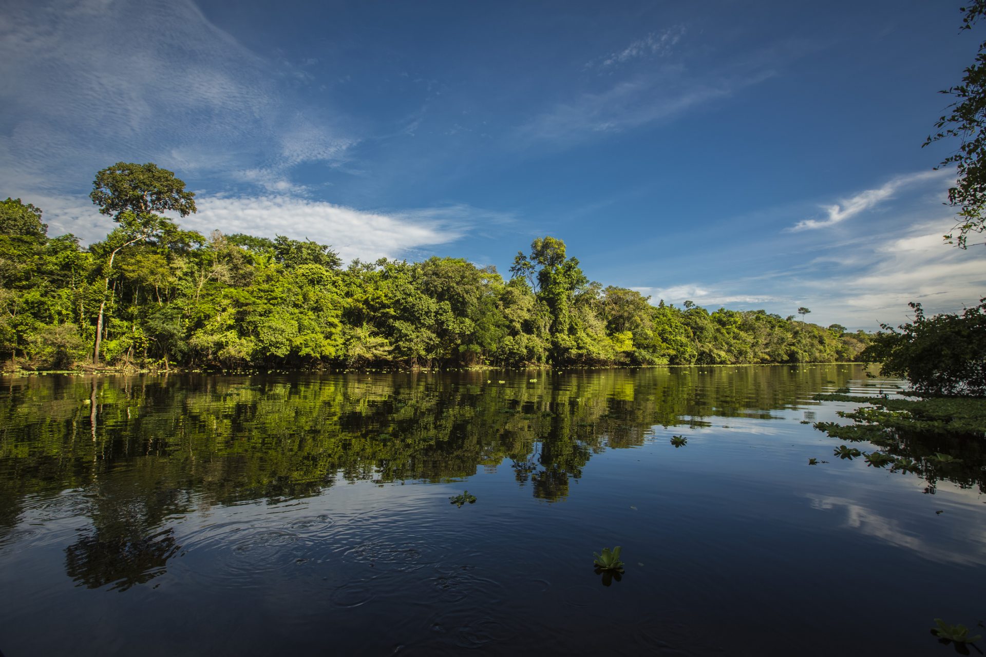 Tambopata National Reserve, Peru