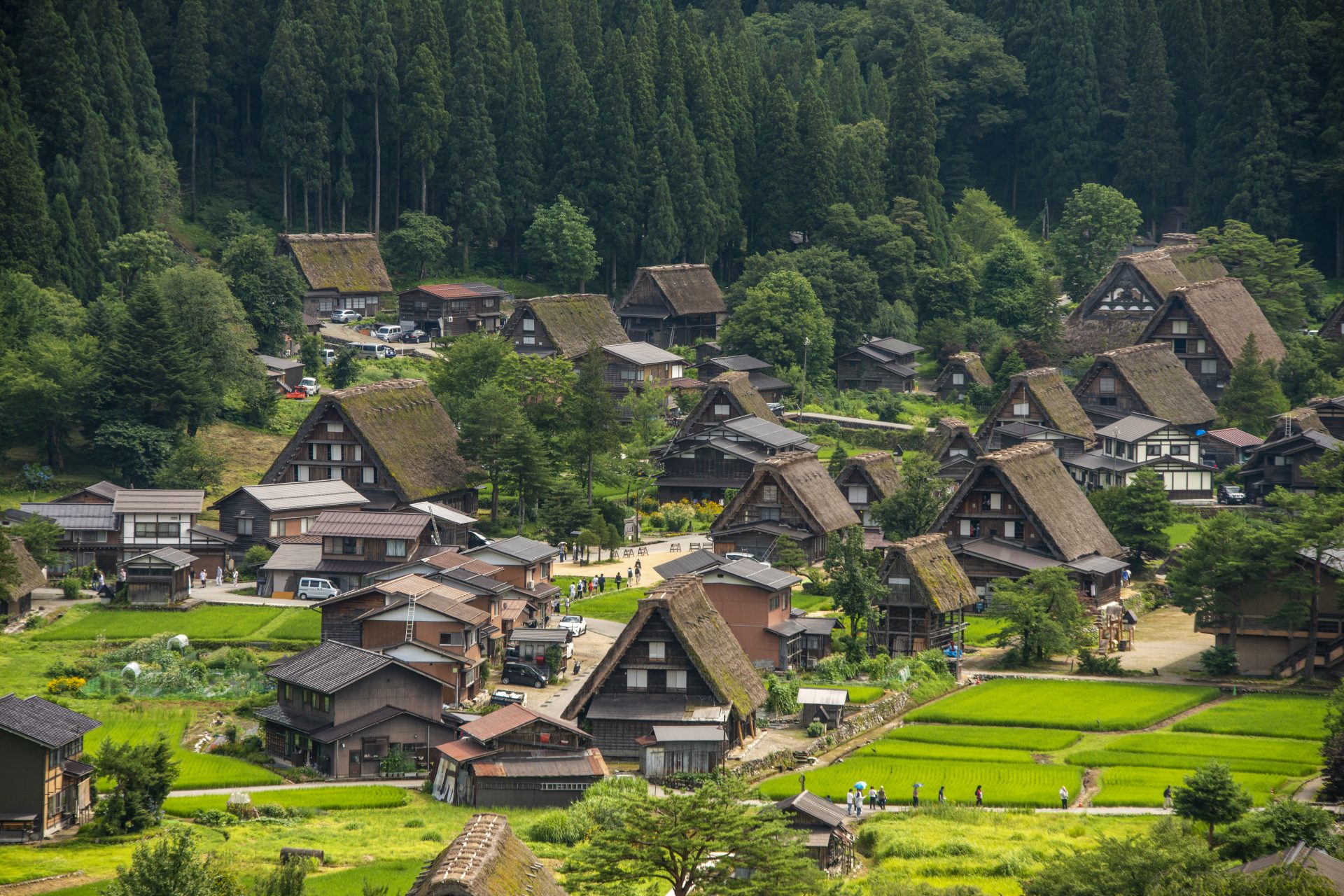 白川郷