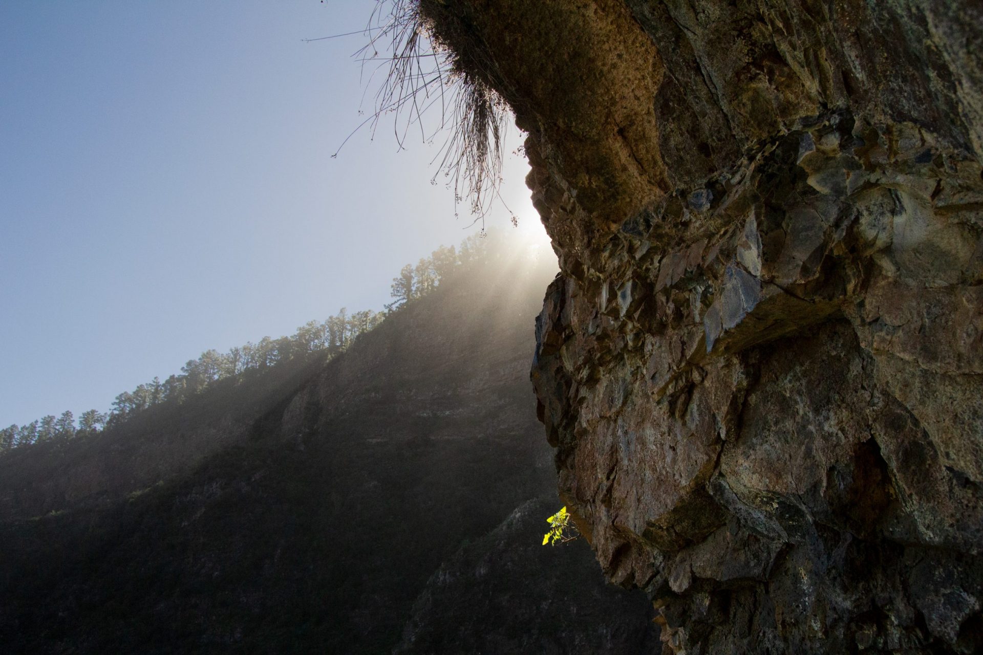 Barranco de Badajoz (Tenerife, España)