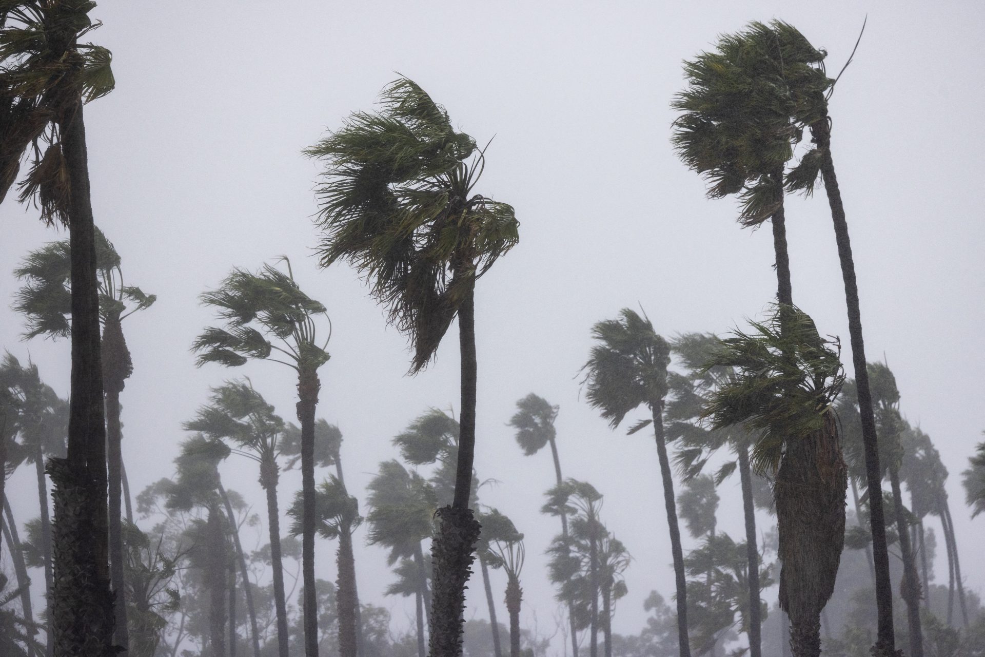 Starker Wind ist problematisch