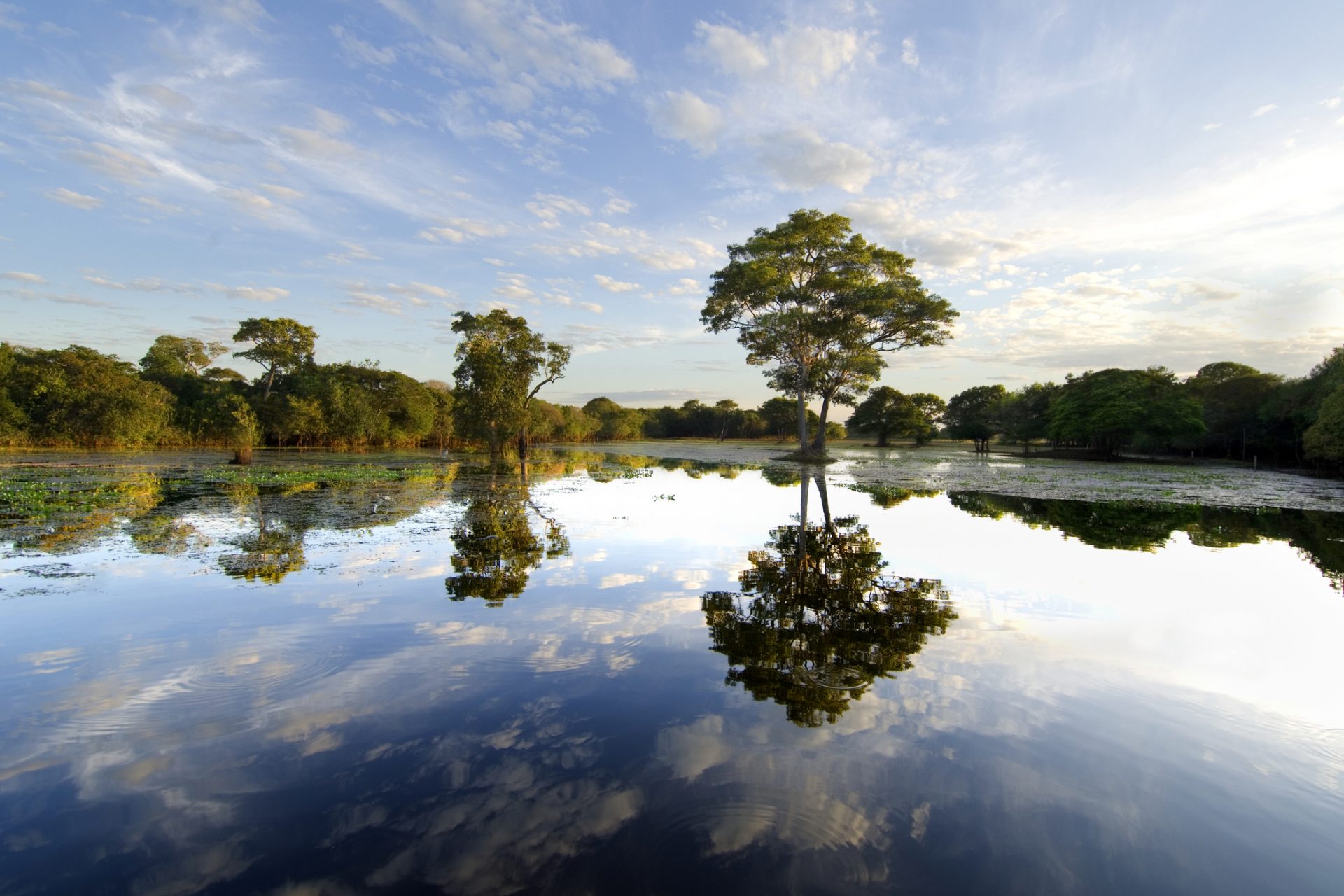 Pantanal, Brazil