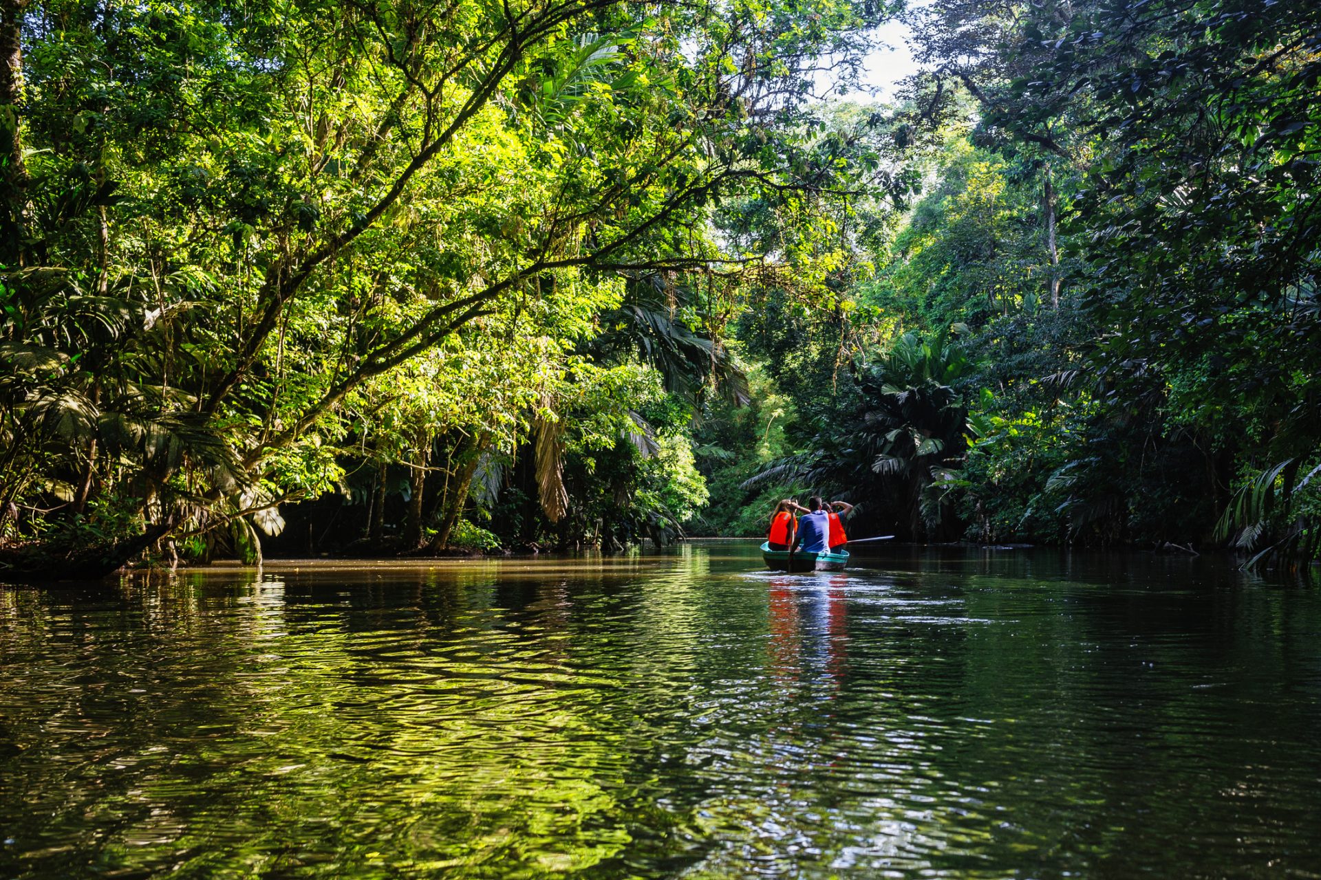 Tortuguero National Park, Costa Rica