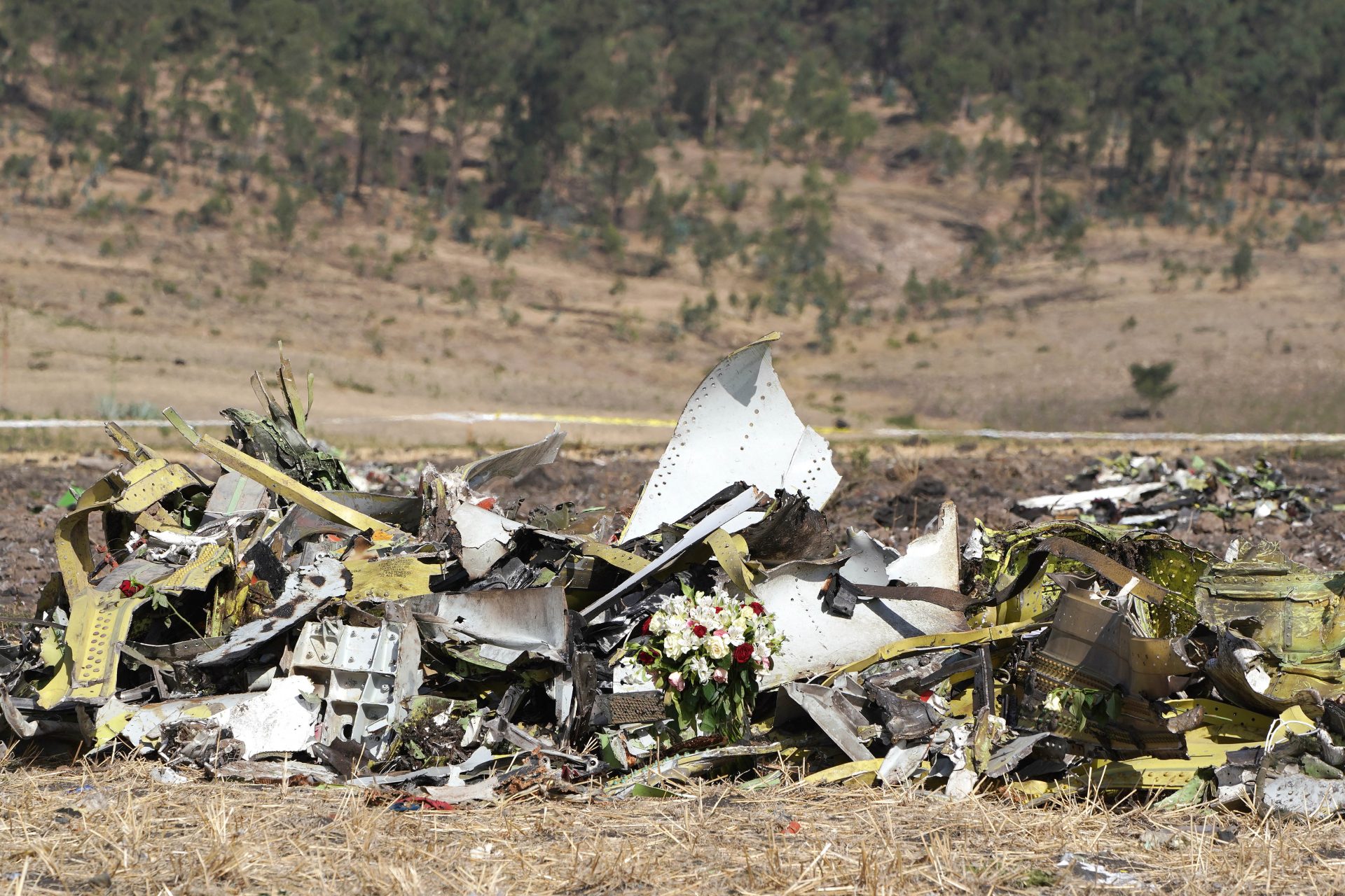 エチオピア航空302便墜落事故