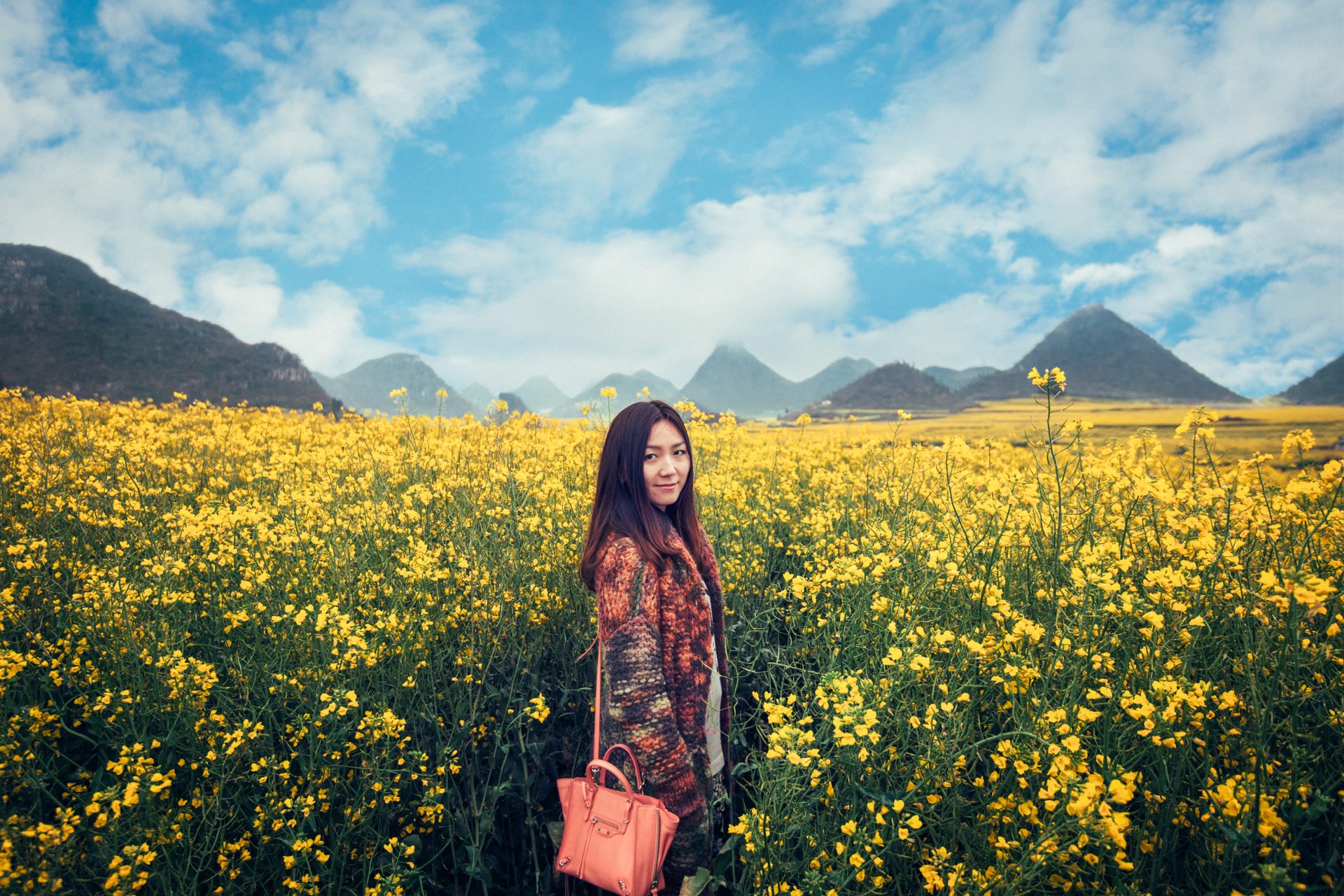Canola flower fields in China 