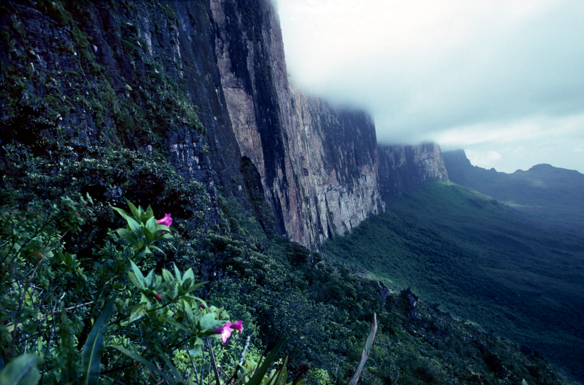 Monte Roraima, Venezuela-Brasil-Guyana