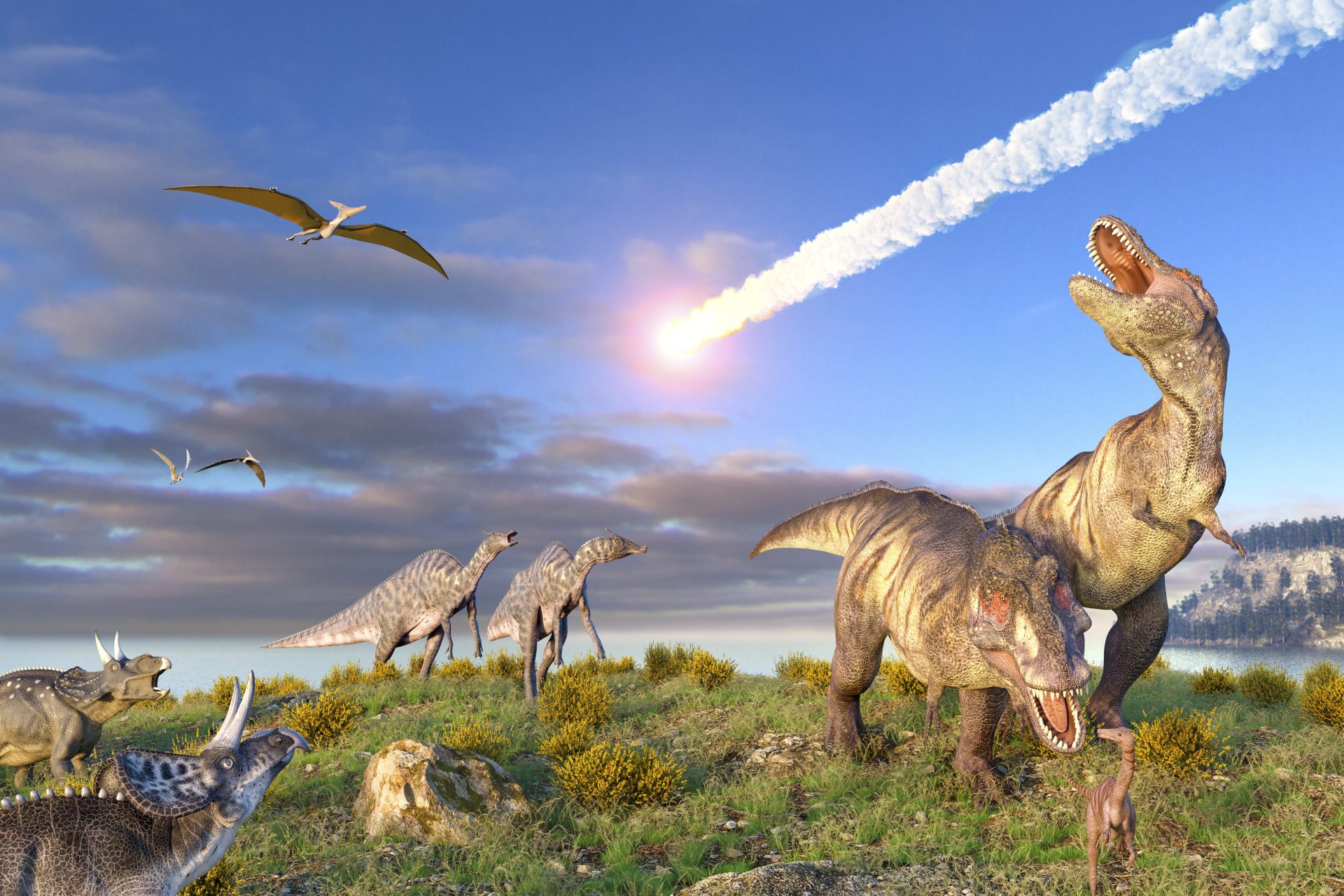 Dinosaurs were always doomed to death even if they weren't wiped out by an asteroid