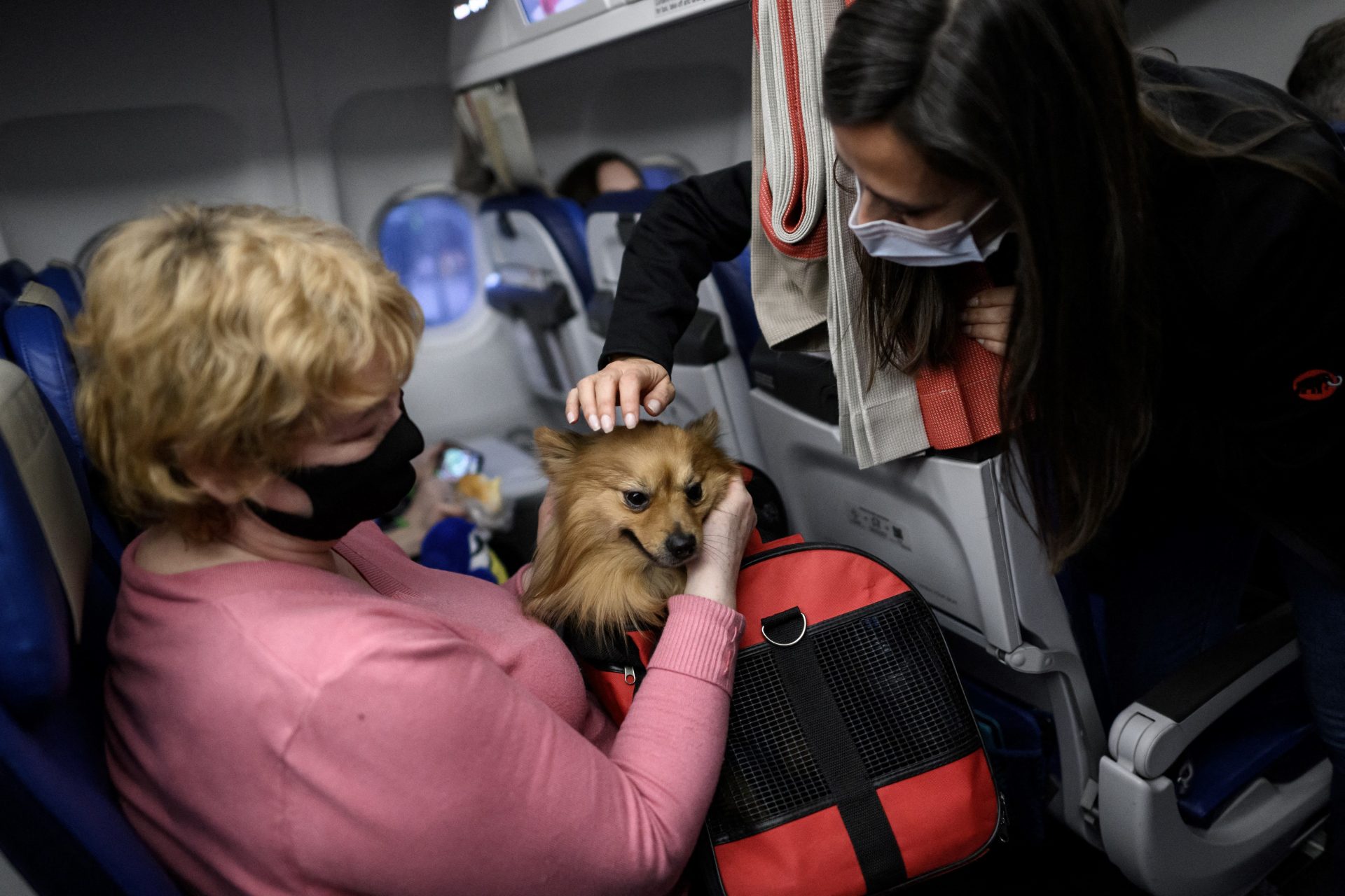 Other acceptable things on a plane 