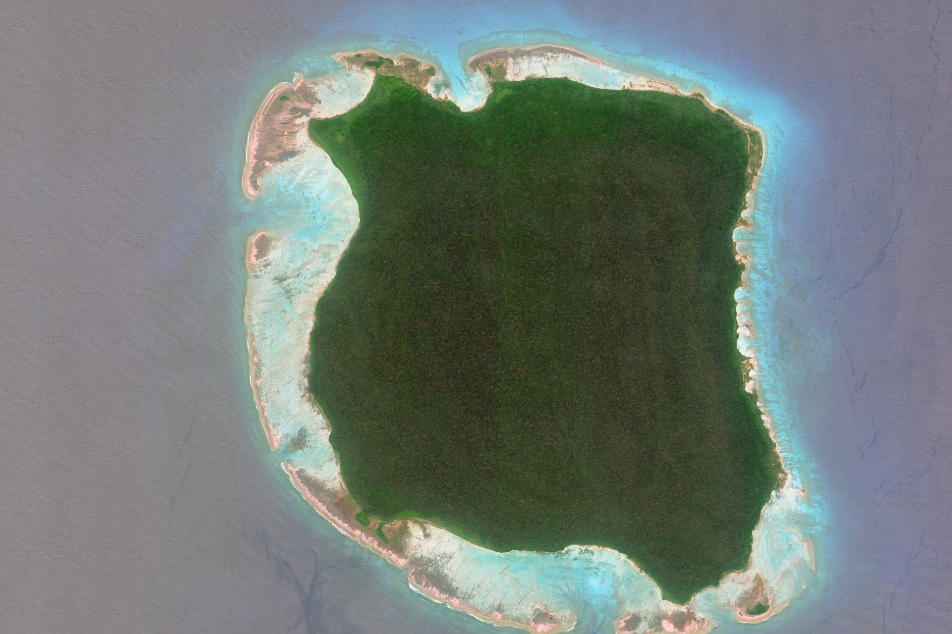 Isla Sentinel del Norte (India)
