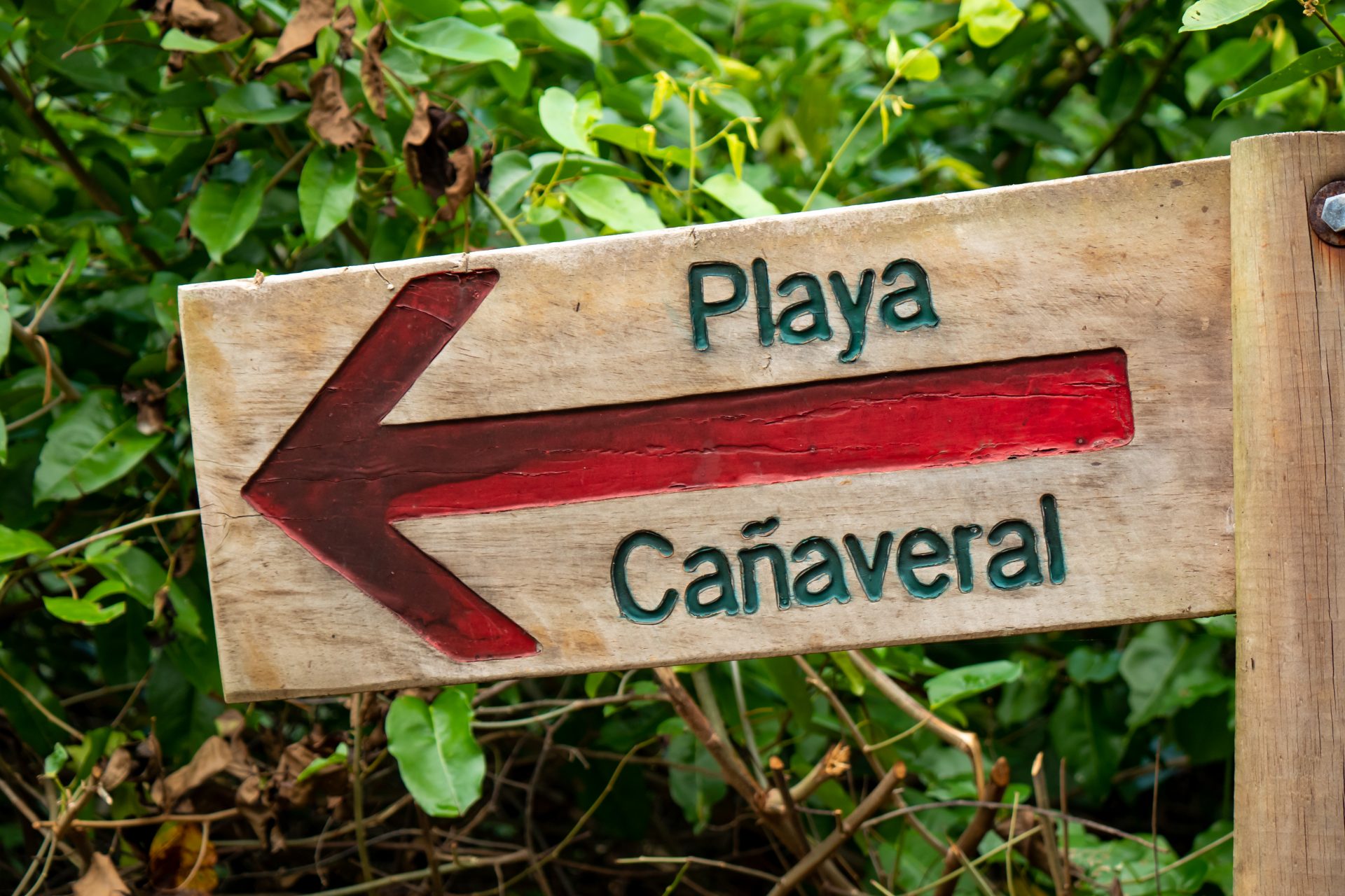 Playa del Cañaveral (Colombia)