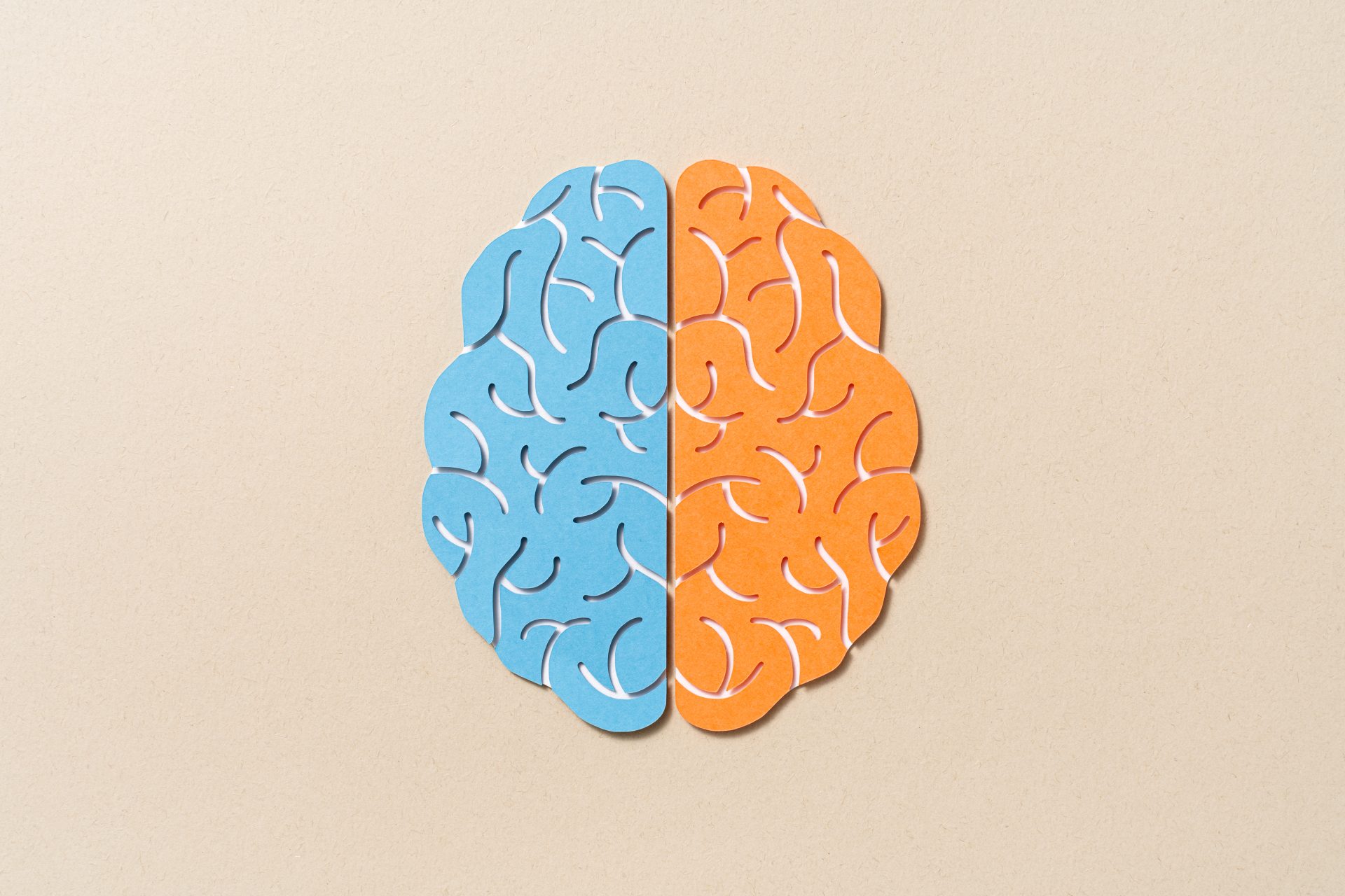 The two hemispheres of the brain