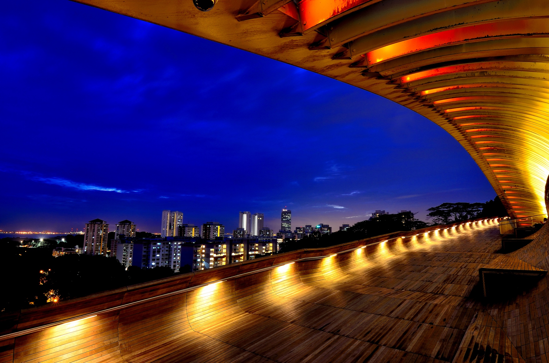 Puente Henderson Waves - Singapur