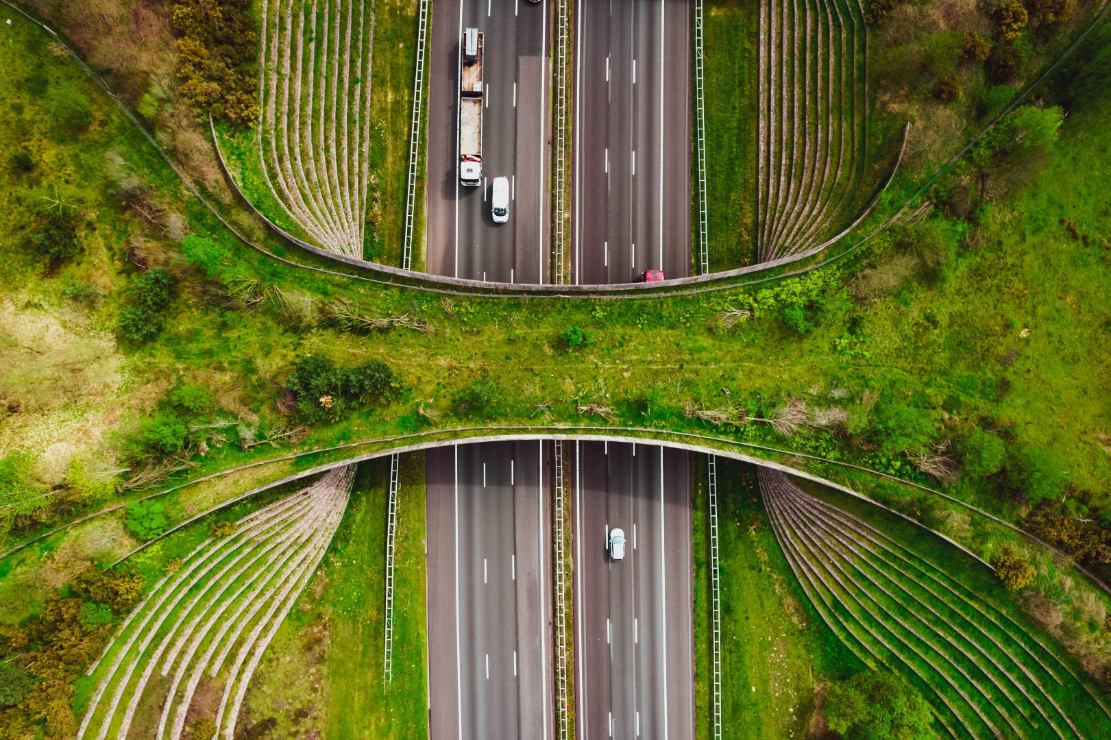 Estructuras alucinantes que van más allá de unir dos puntos separados