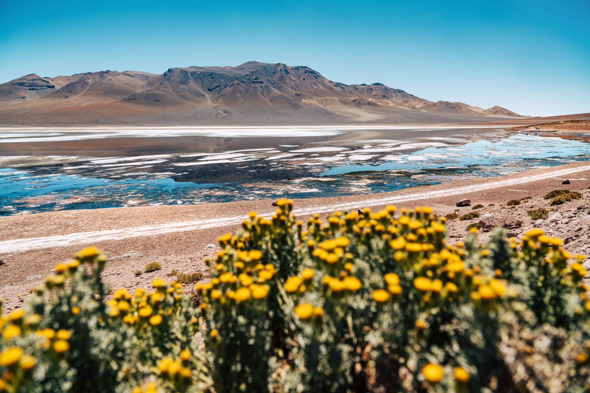 Desierto de Atacama, Chile