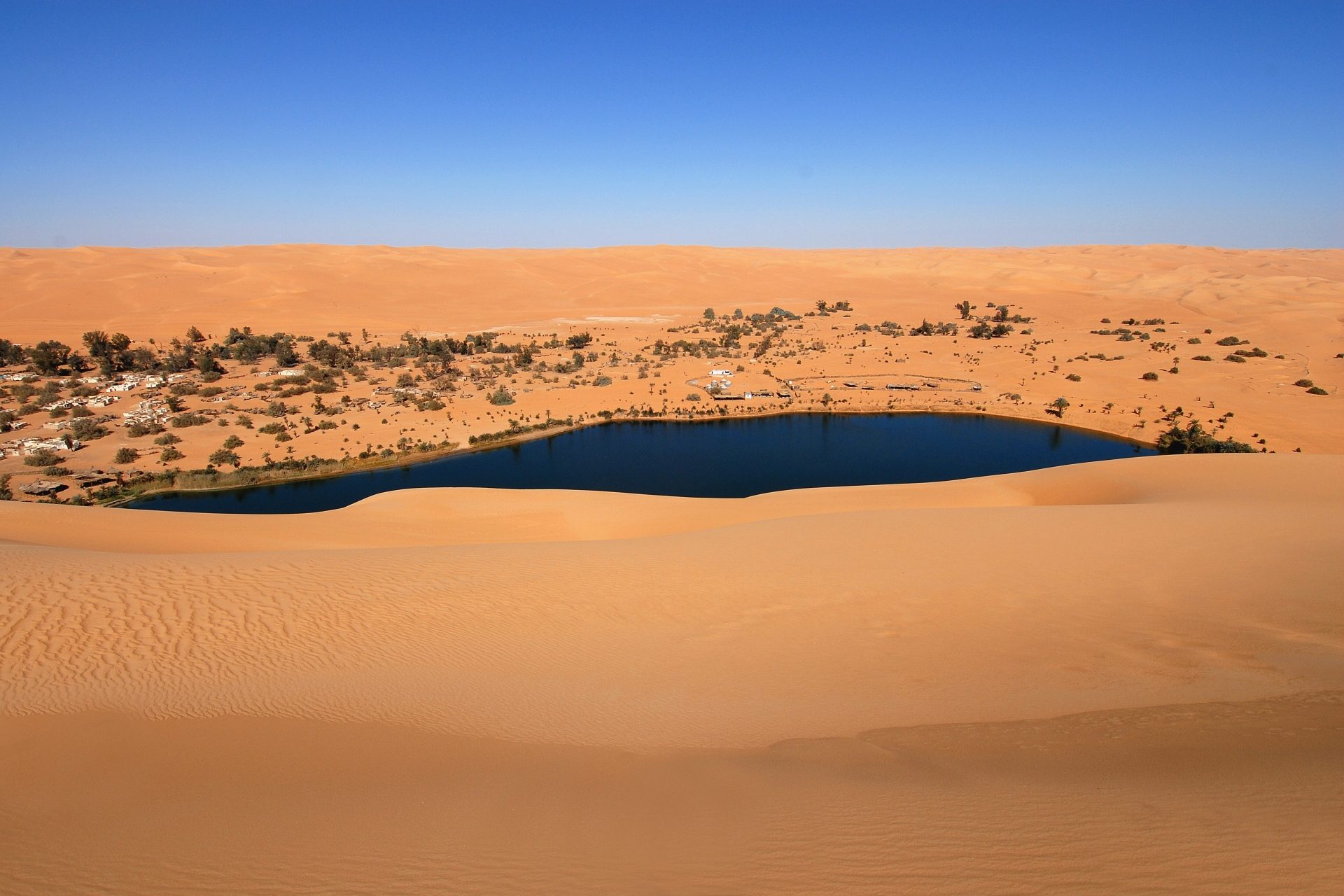 Un oasis es un lugar en medio del desierto donde naturalmente brota agua dulce