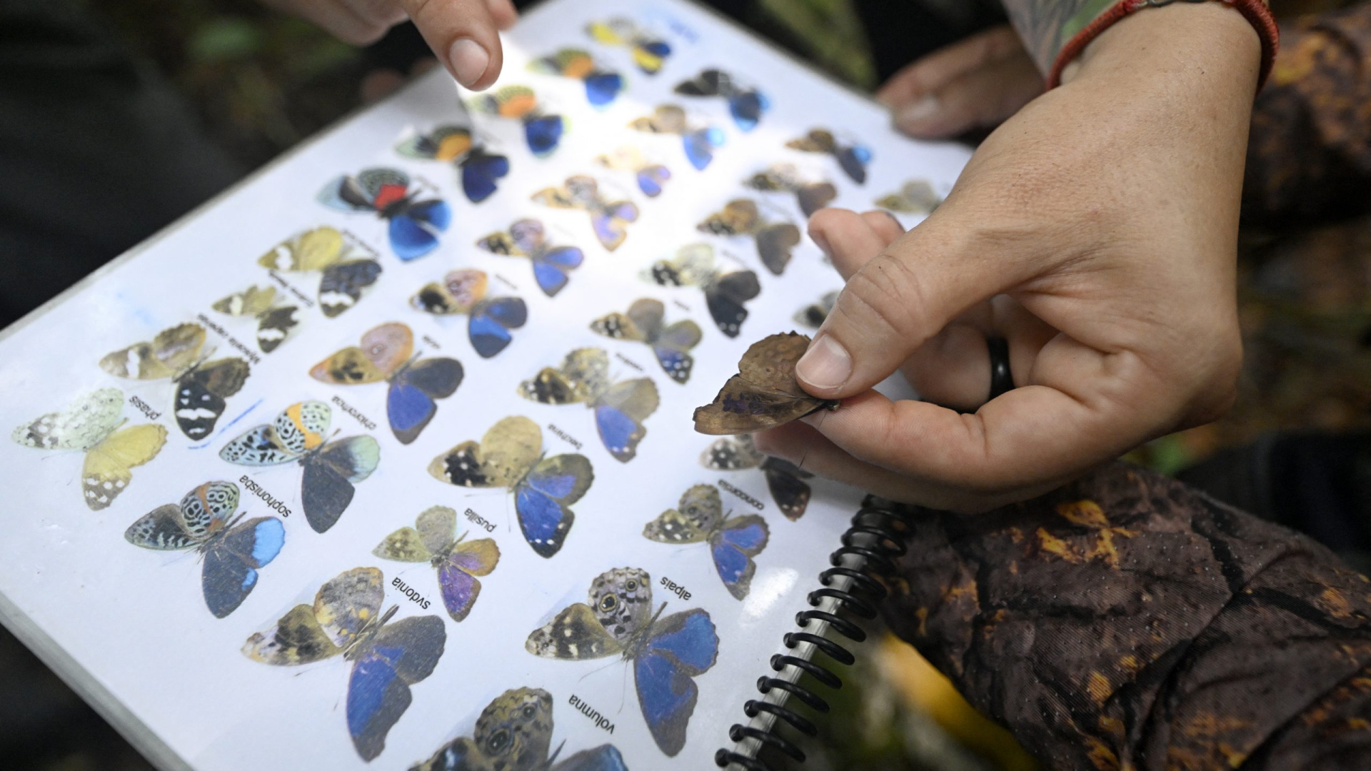 Descubren lo impensable en la selva amazónica