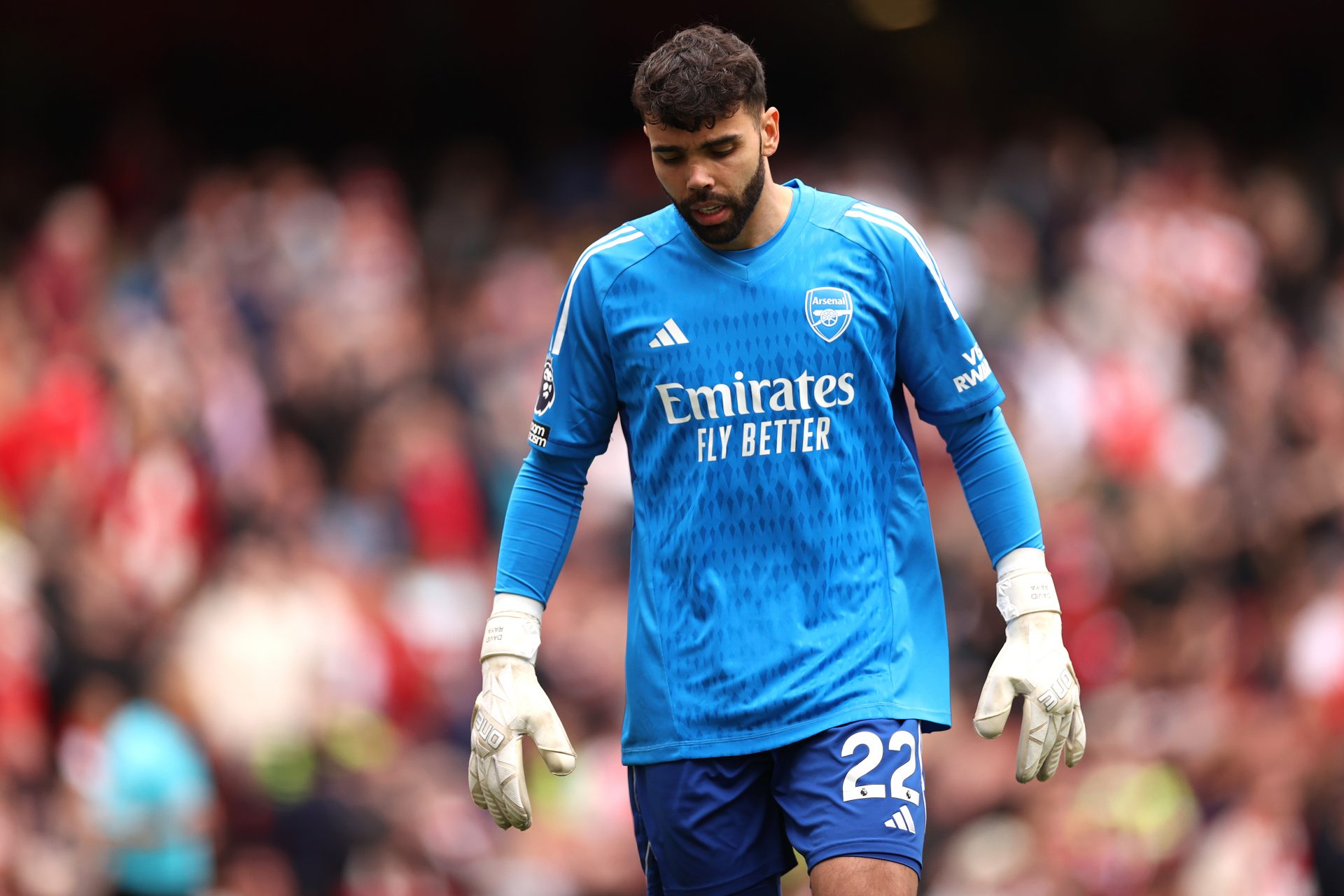 9 - Il portiere David Raya (Arsenal)