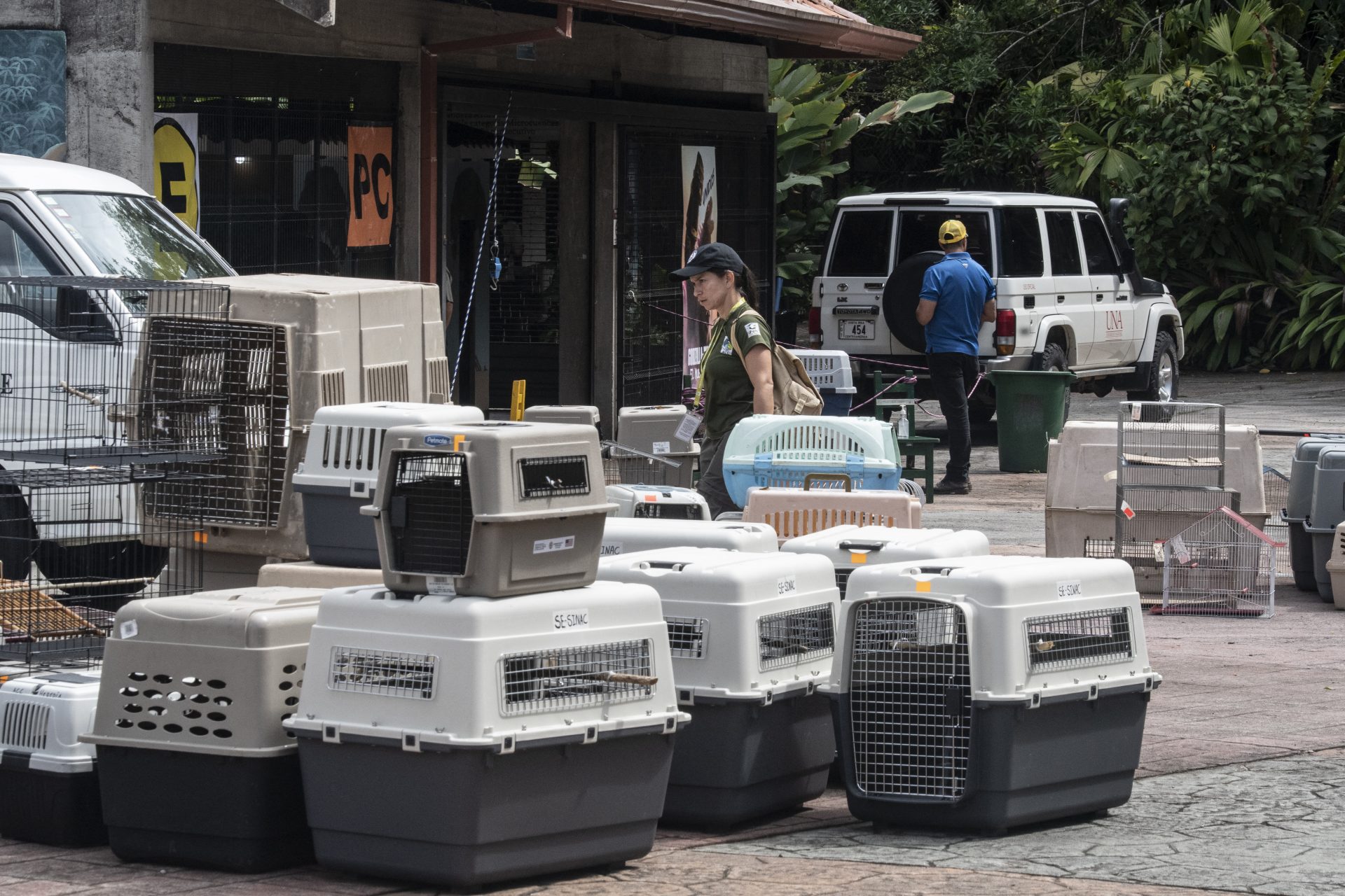 Transfer of hundreds of animals to a rescue center