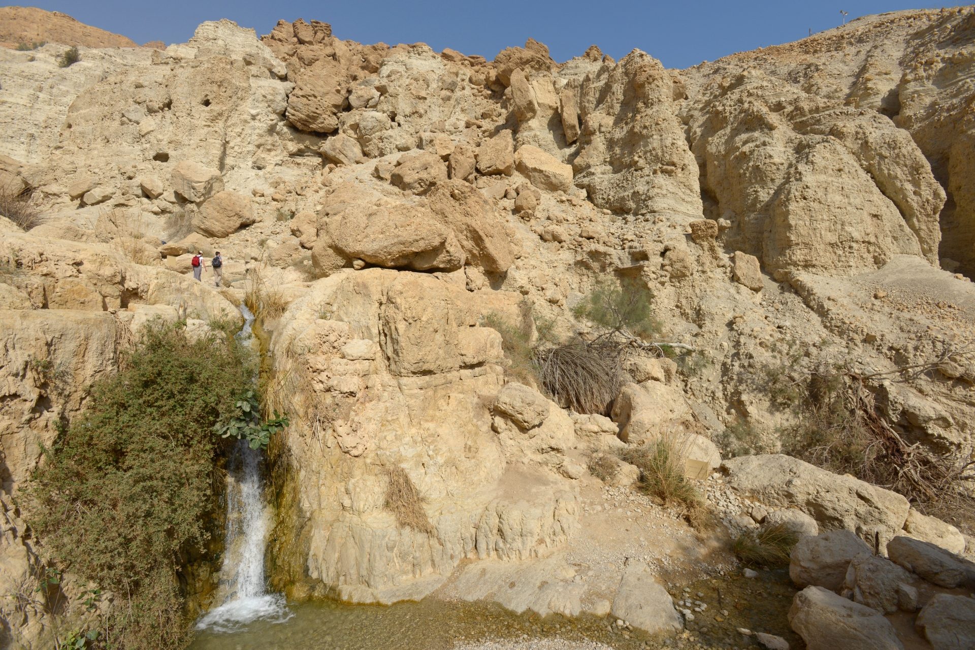 Ein Gedi, Israel