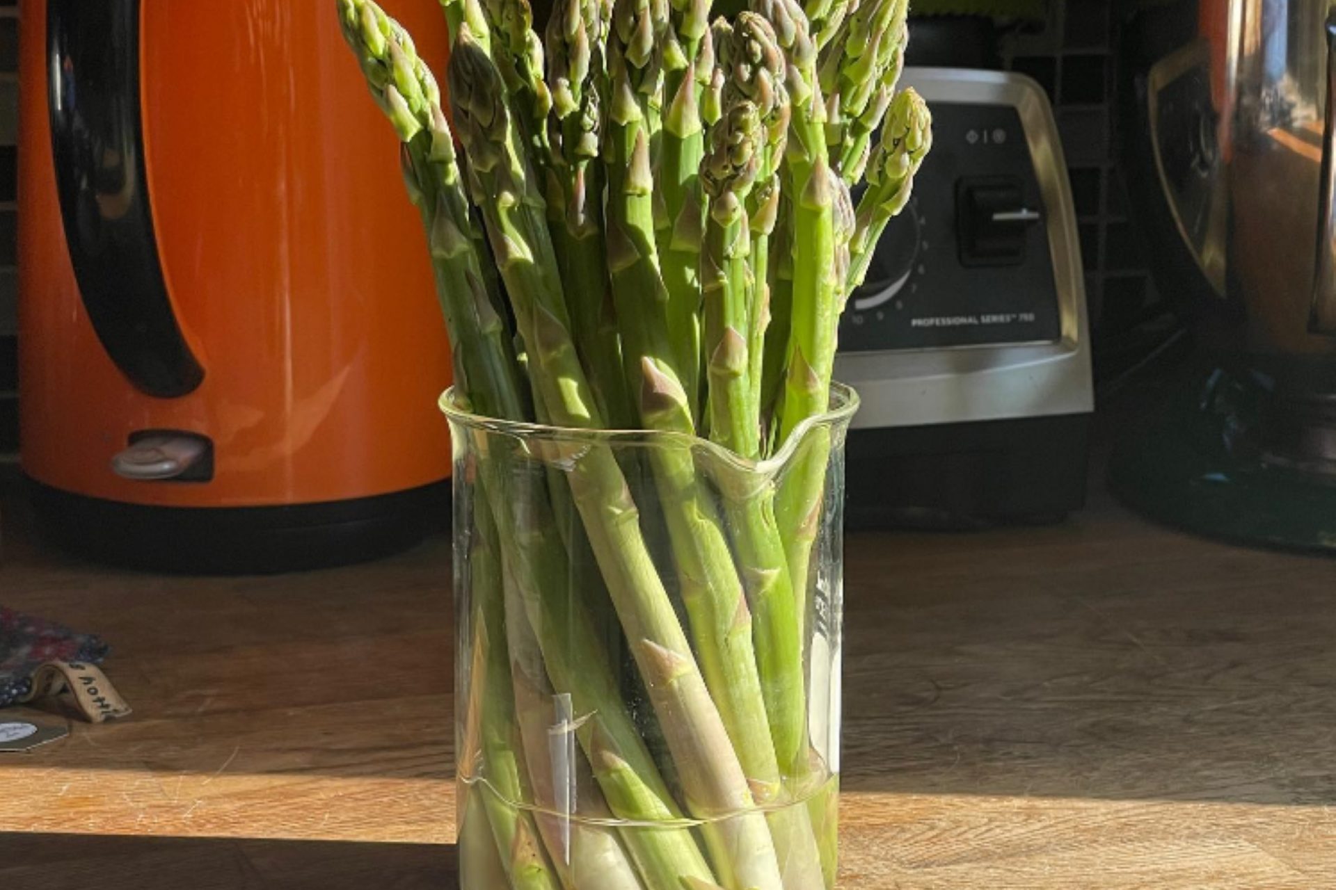 Asparagi