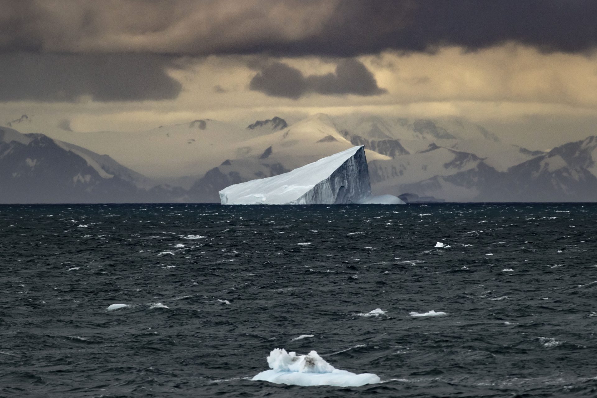 A growing problem in Antarctic could soon become a major disaster for the world