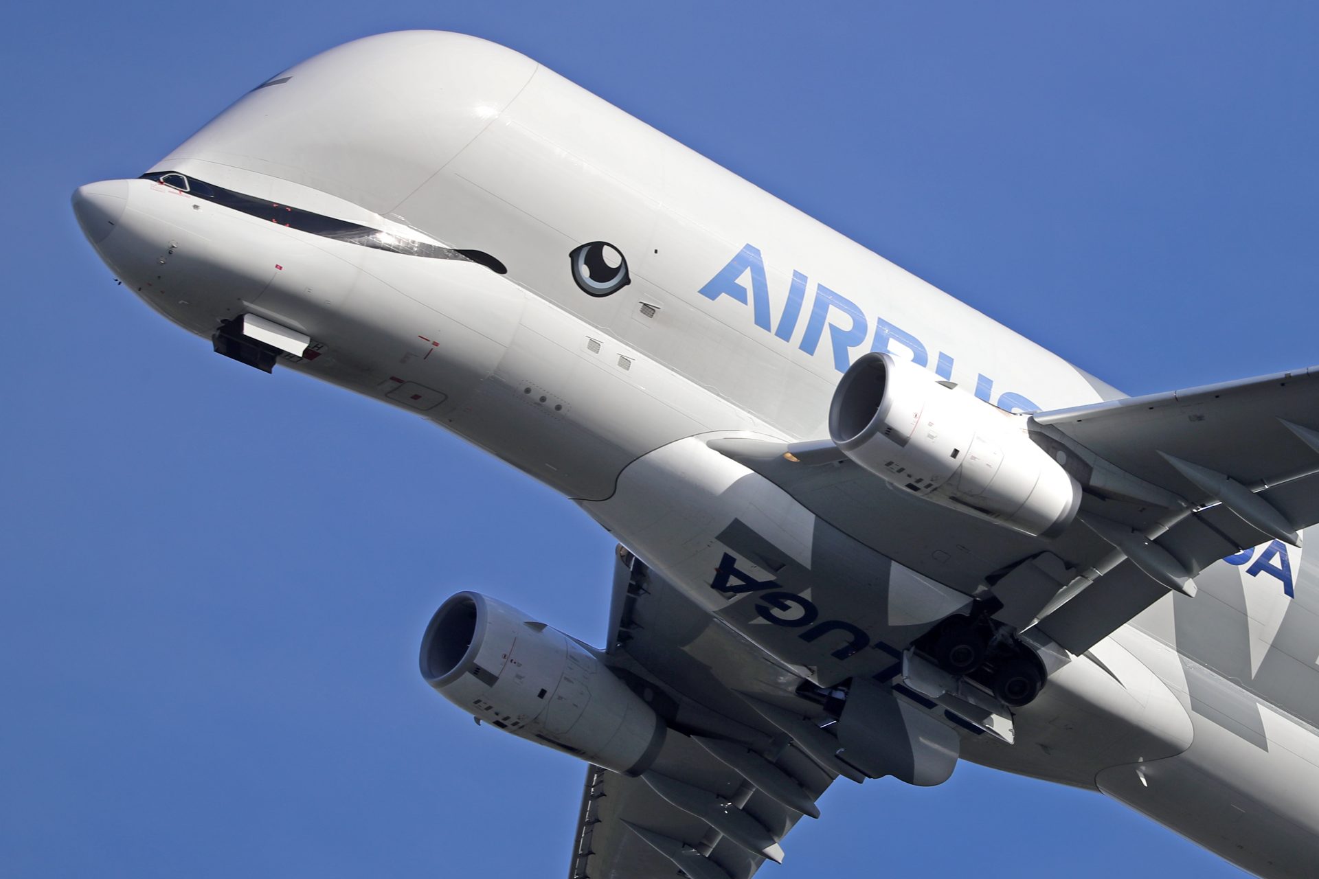 Airbus Beluga : pourquoi cet avion pas comme les autres attire autant l'attention ?