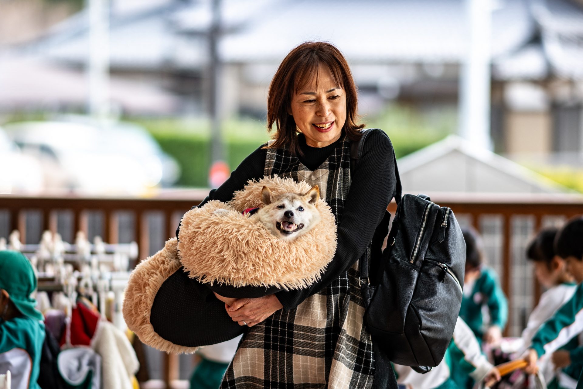 ネットミームとして世界的に人気をさらった日本の柴犬、「かぼす」が死去