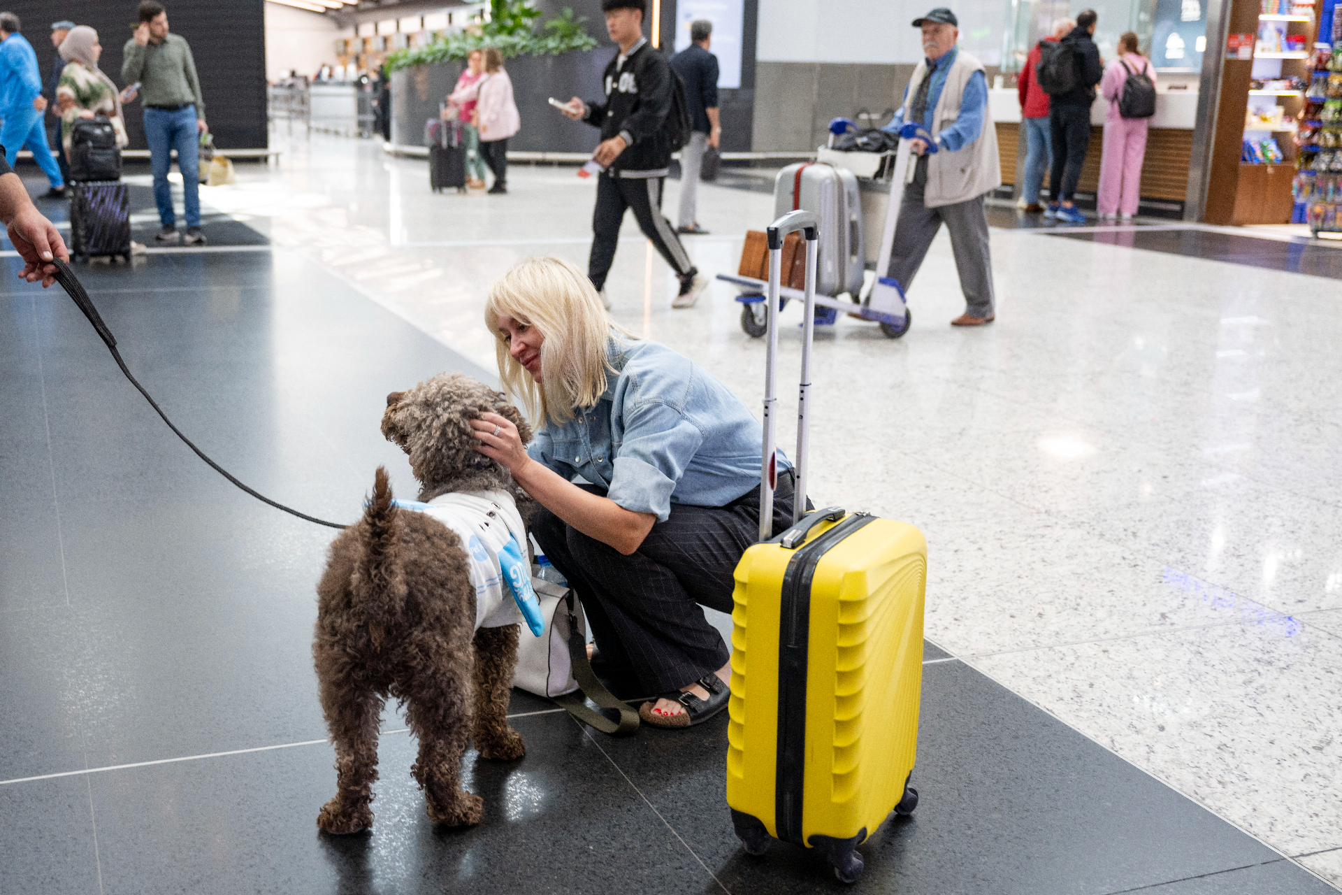 犬たちに空の旅を提供する「バーク・エア」が運航開始！