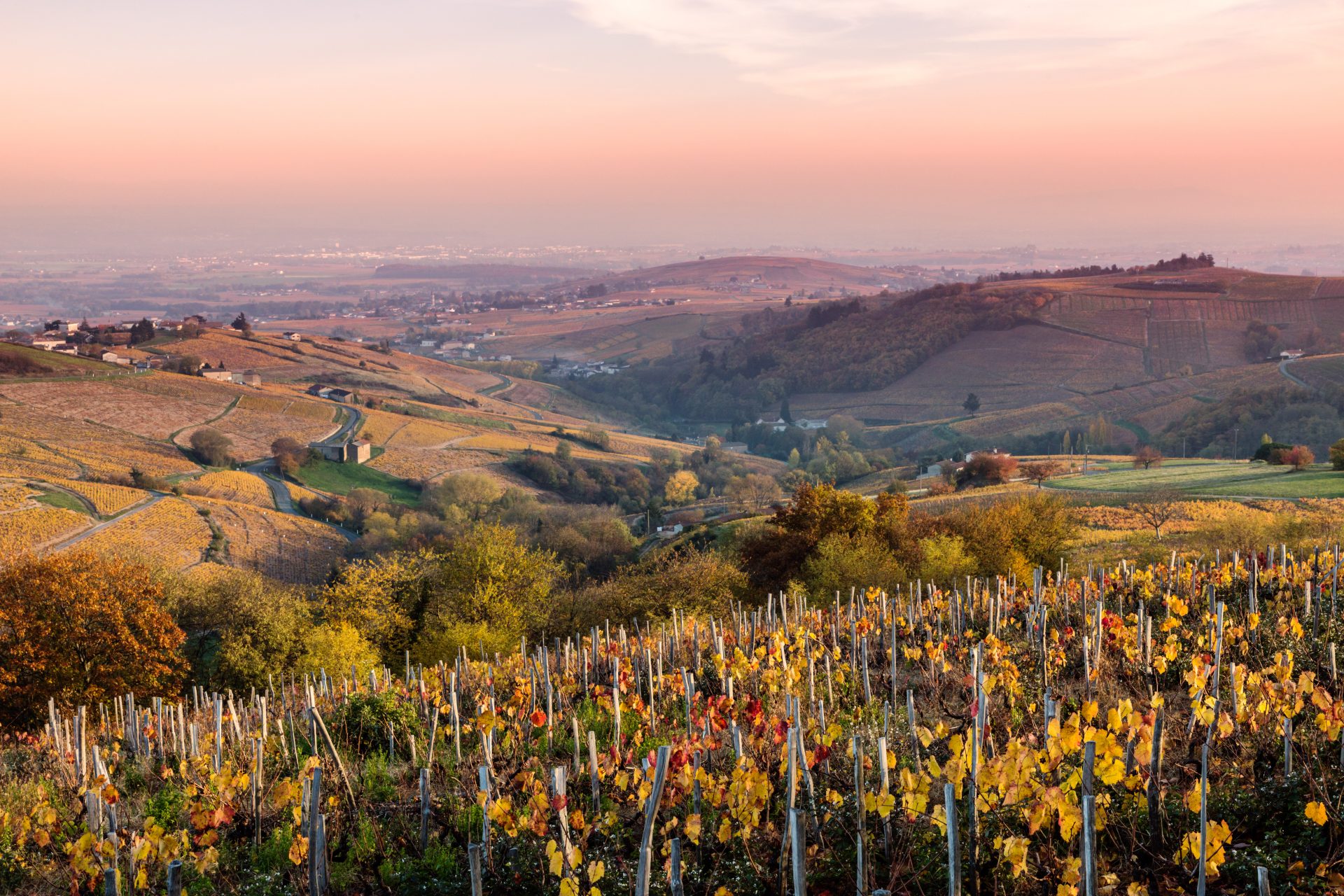 11. Rhône-Alpes (France)