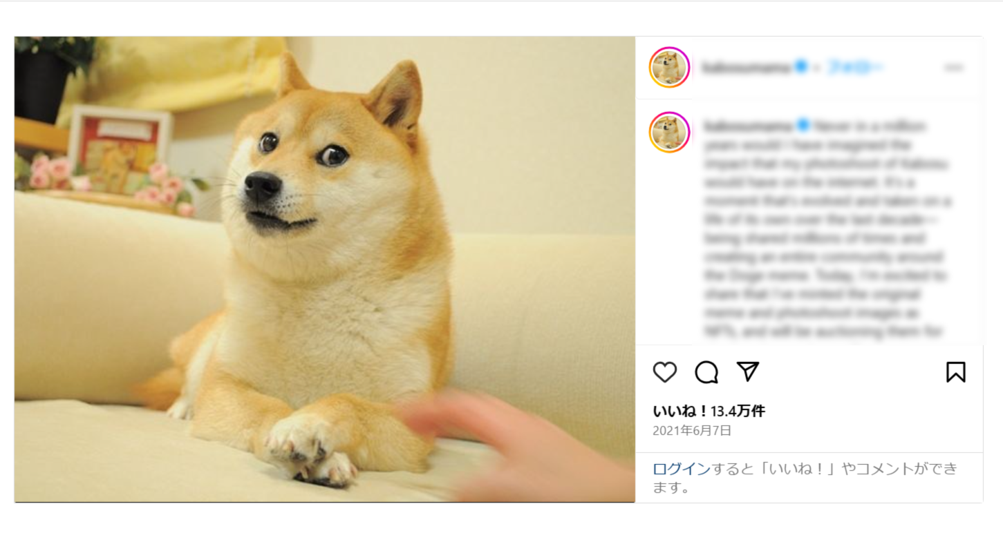 ”世界一有名な柴犬”の一生