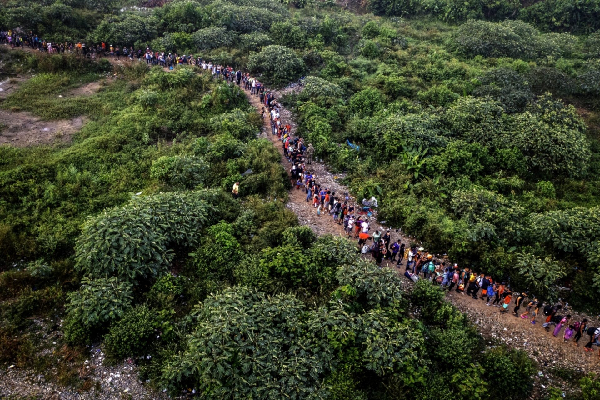 Caminando por una nueva vida 