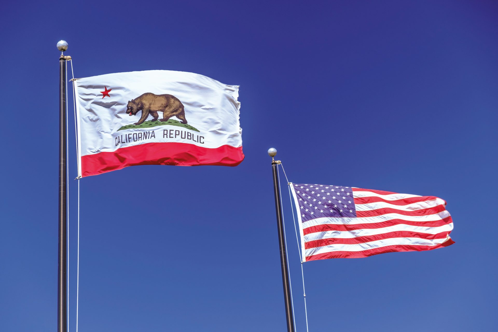 The California Republic