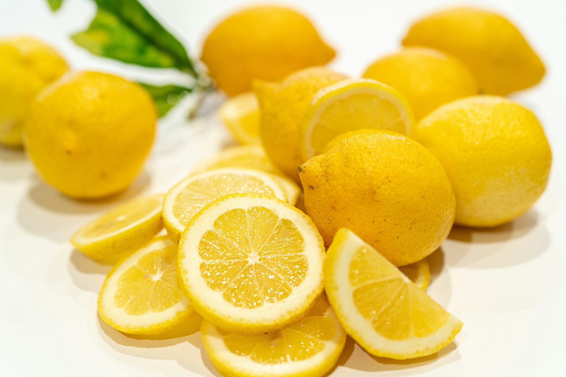 Faire germer des pépins de citron