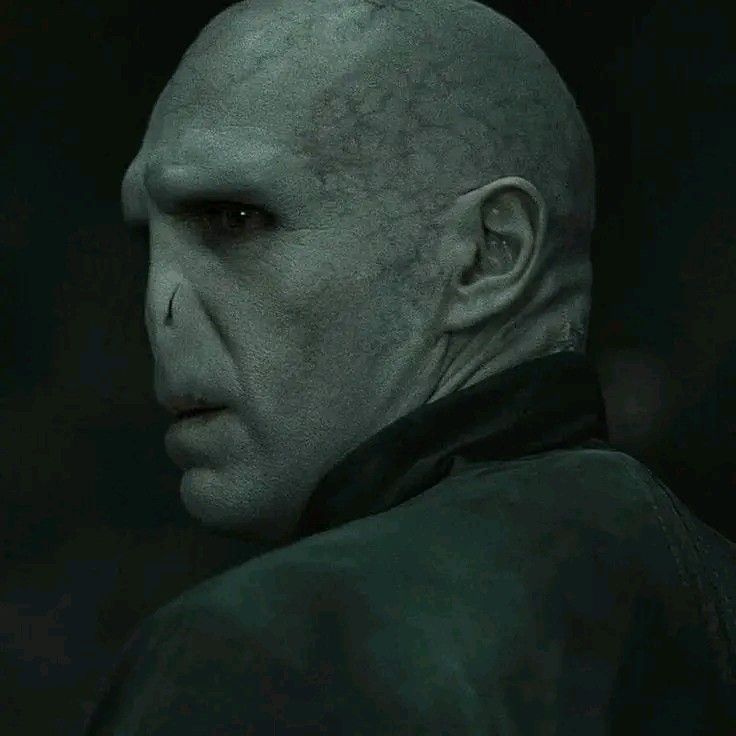 Ralph Fiennes - Voldemort – la saga de “Harry Potter”