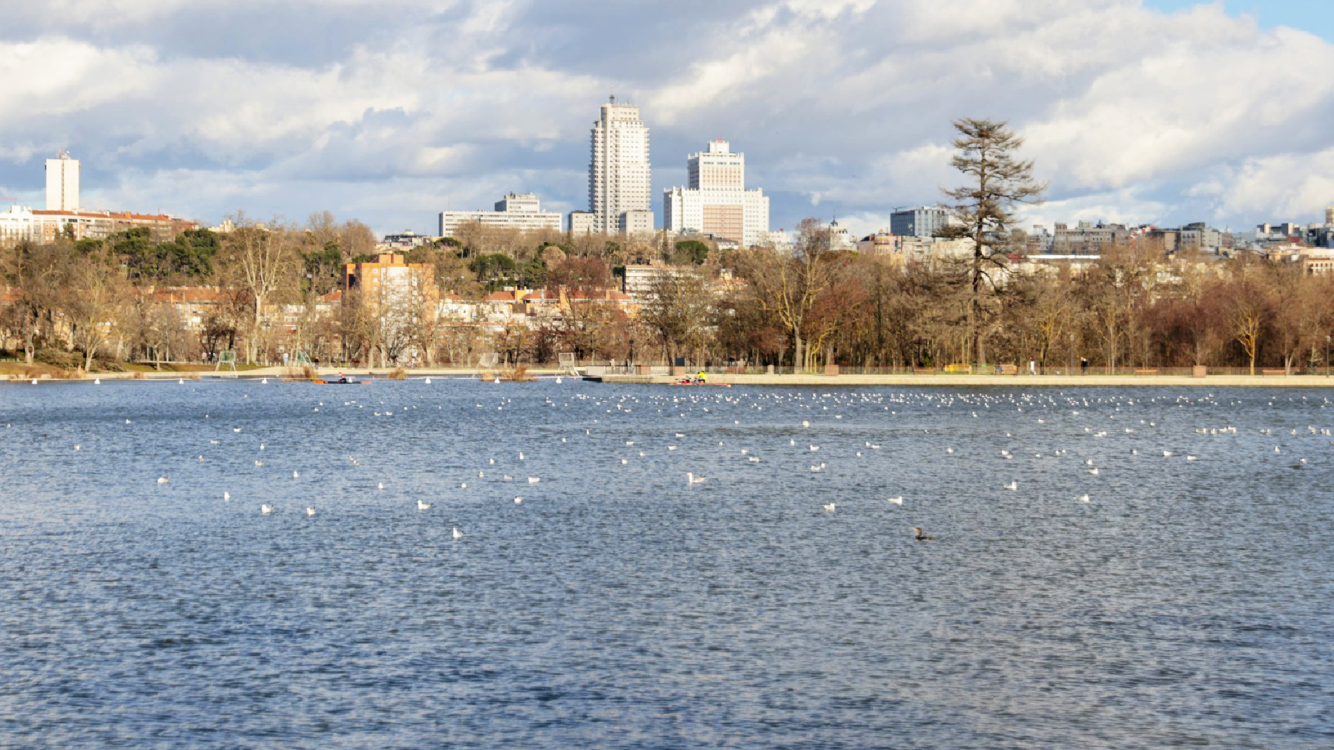 Encontraron lo impensable al vaciar el lago de la Casa de Campo de Madrid