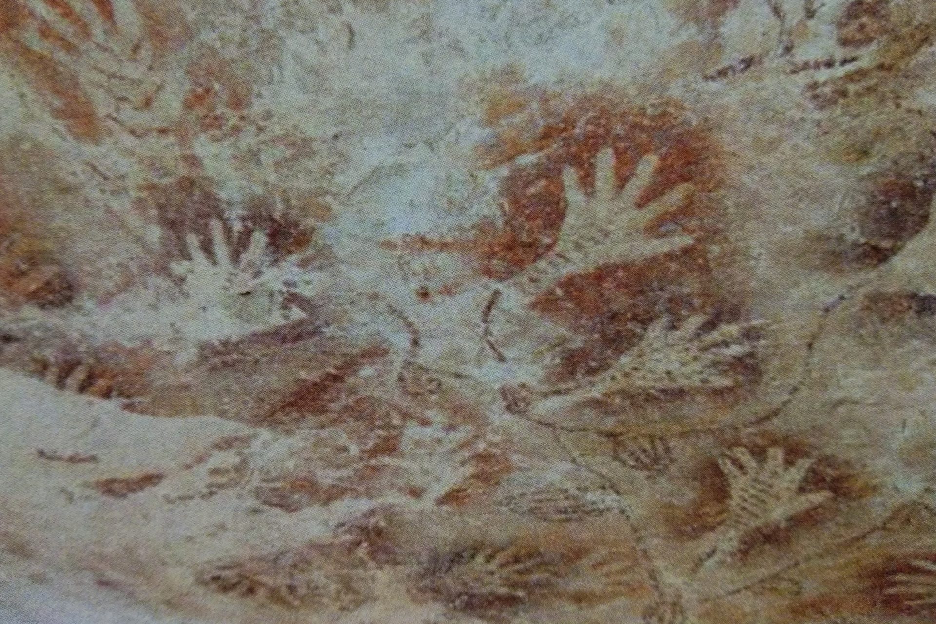 L'art rupestre préhistorique offre des informations précieuses