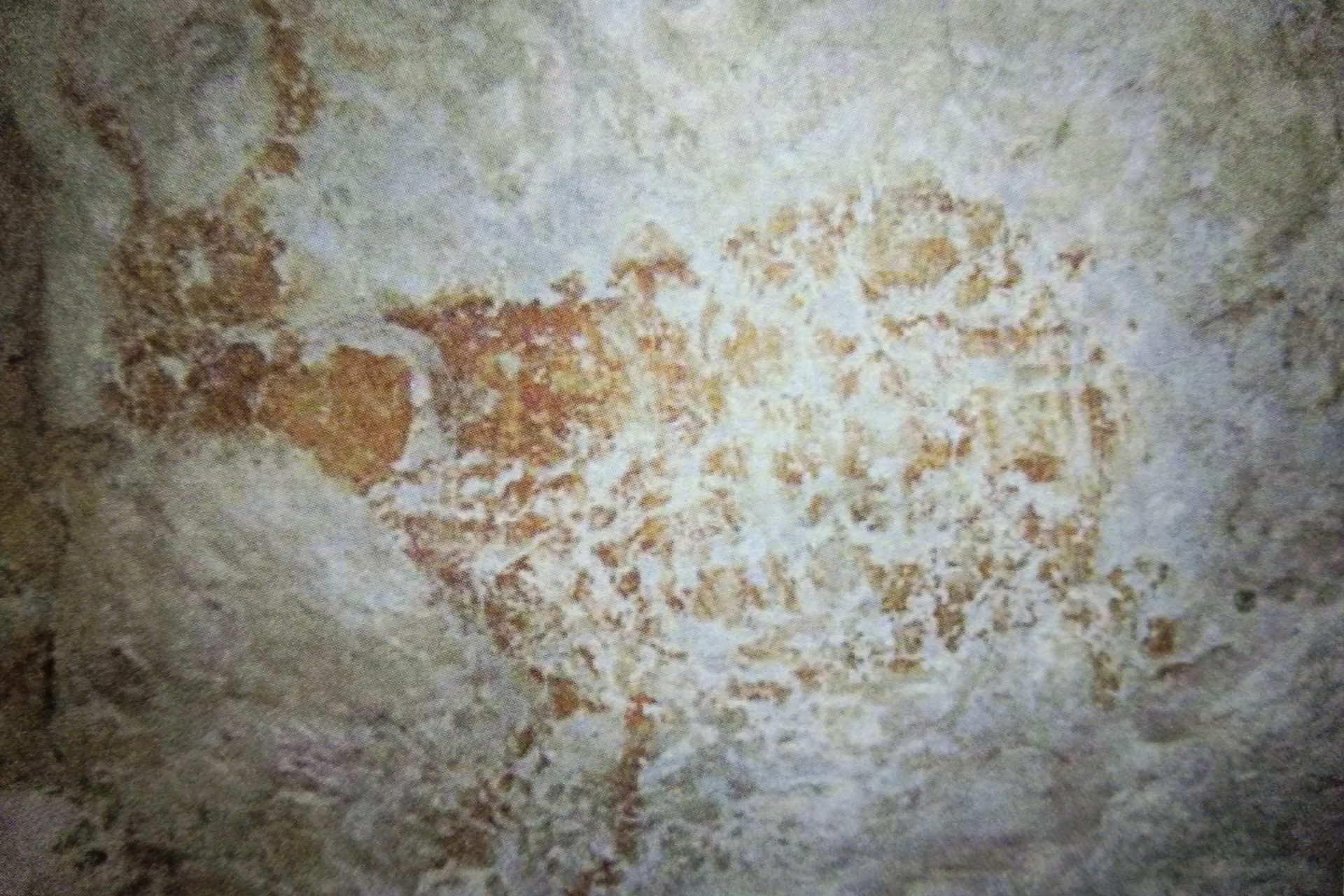 Découverte d'une peinture rupestre vieille de 50 000 ans à Bornéo