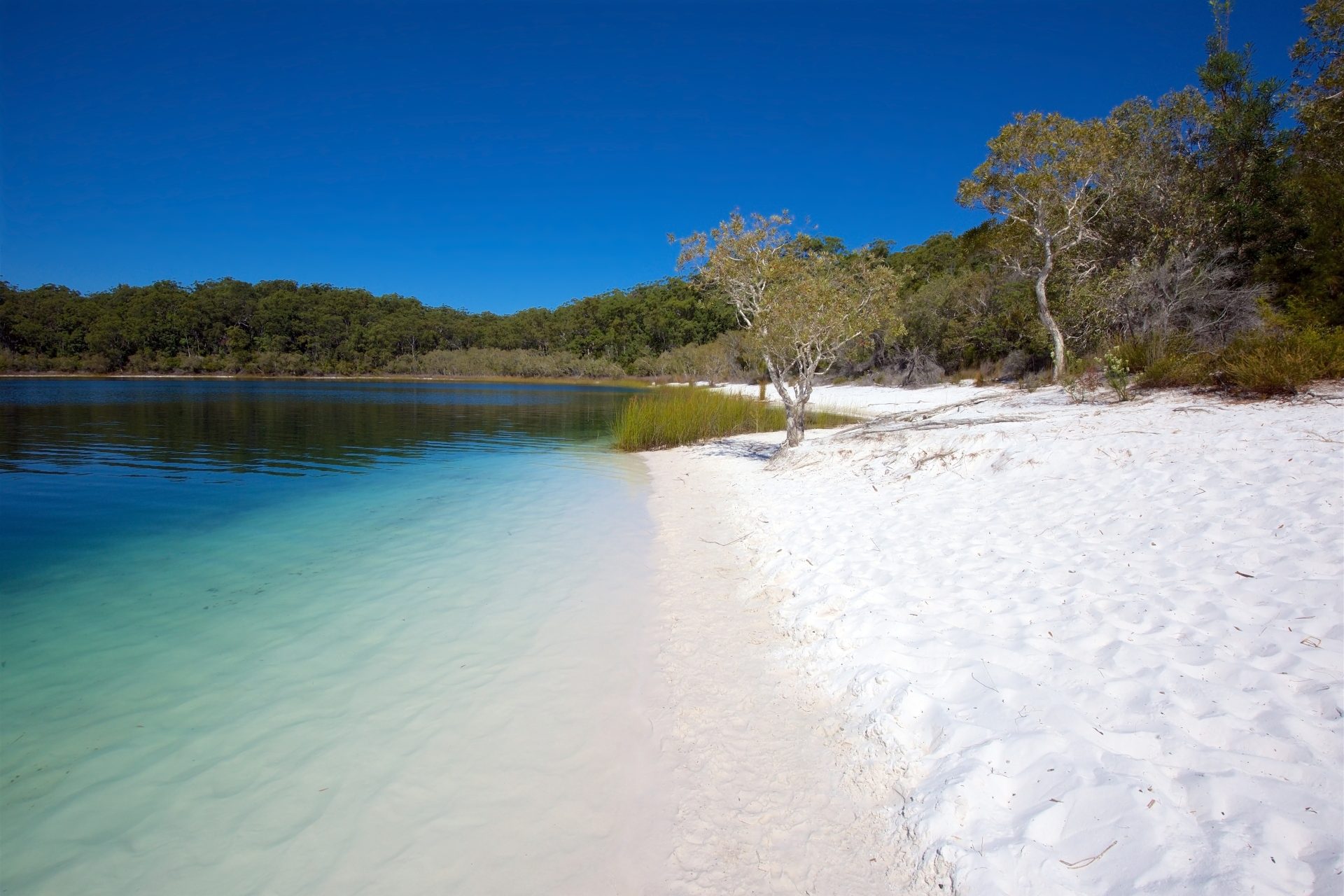 Fraser Island, Australia