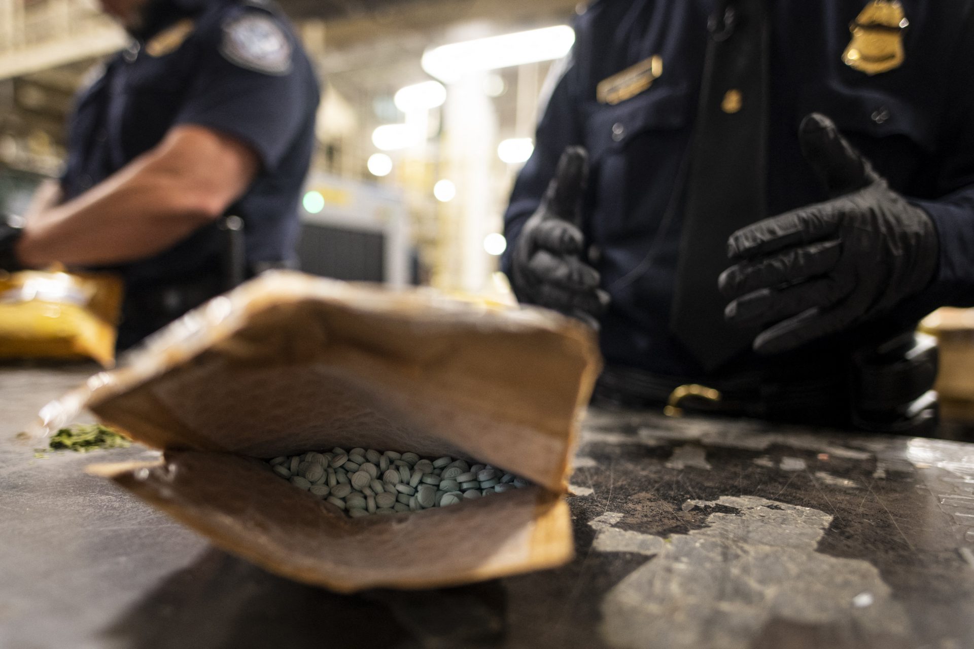 Drug seizures at the border