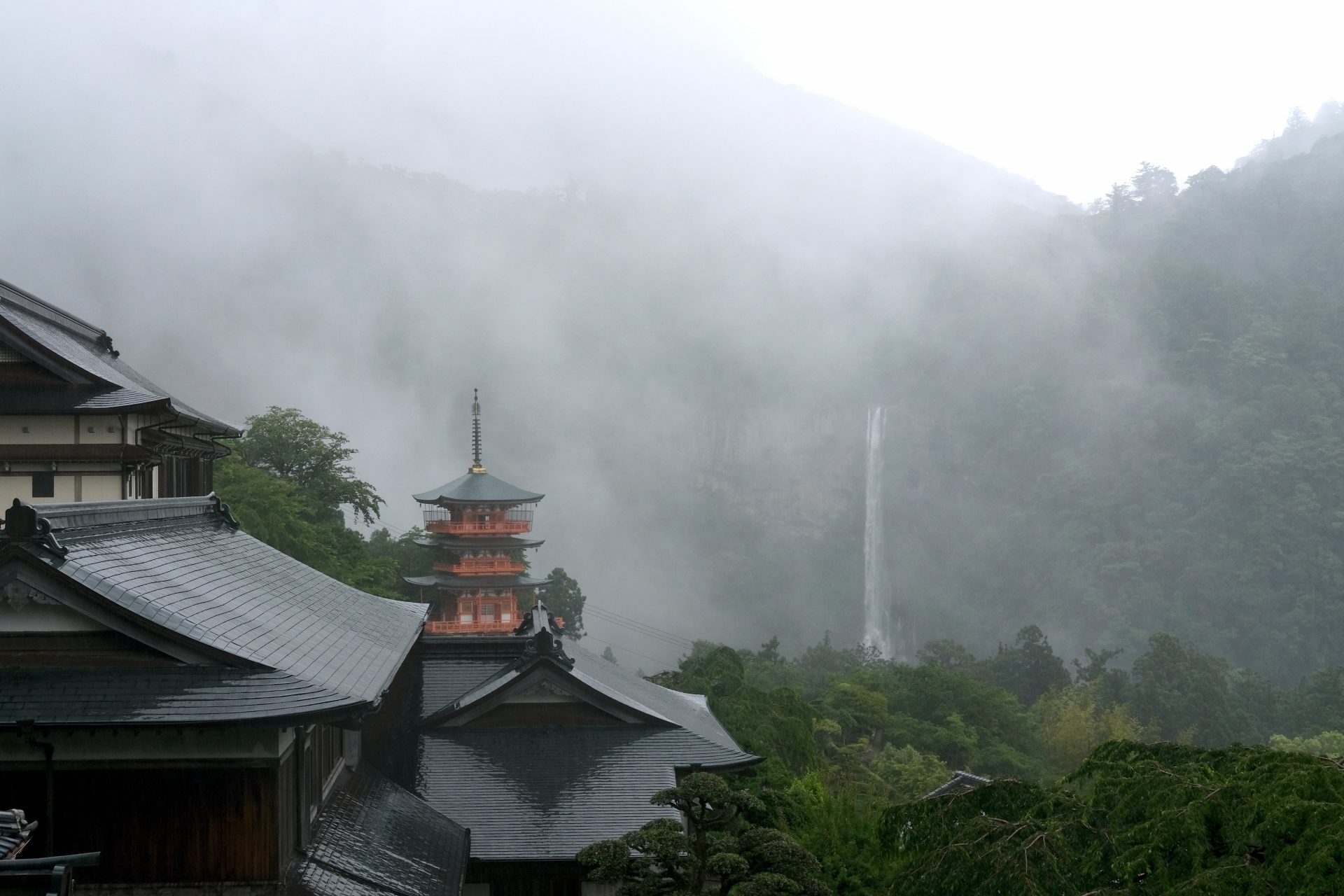 熊野古道（和歌山県）