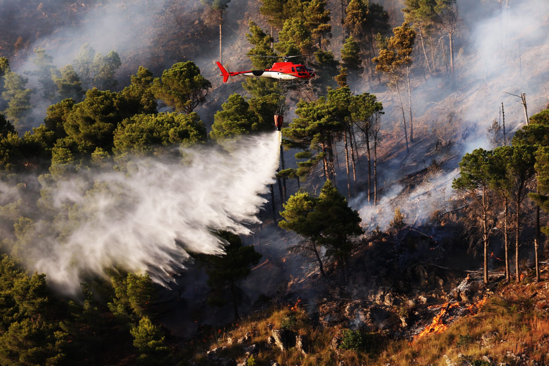 En 2023 múltiples incendios forestales