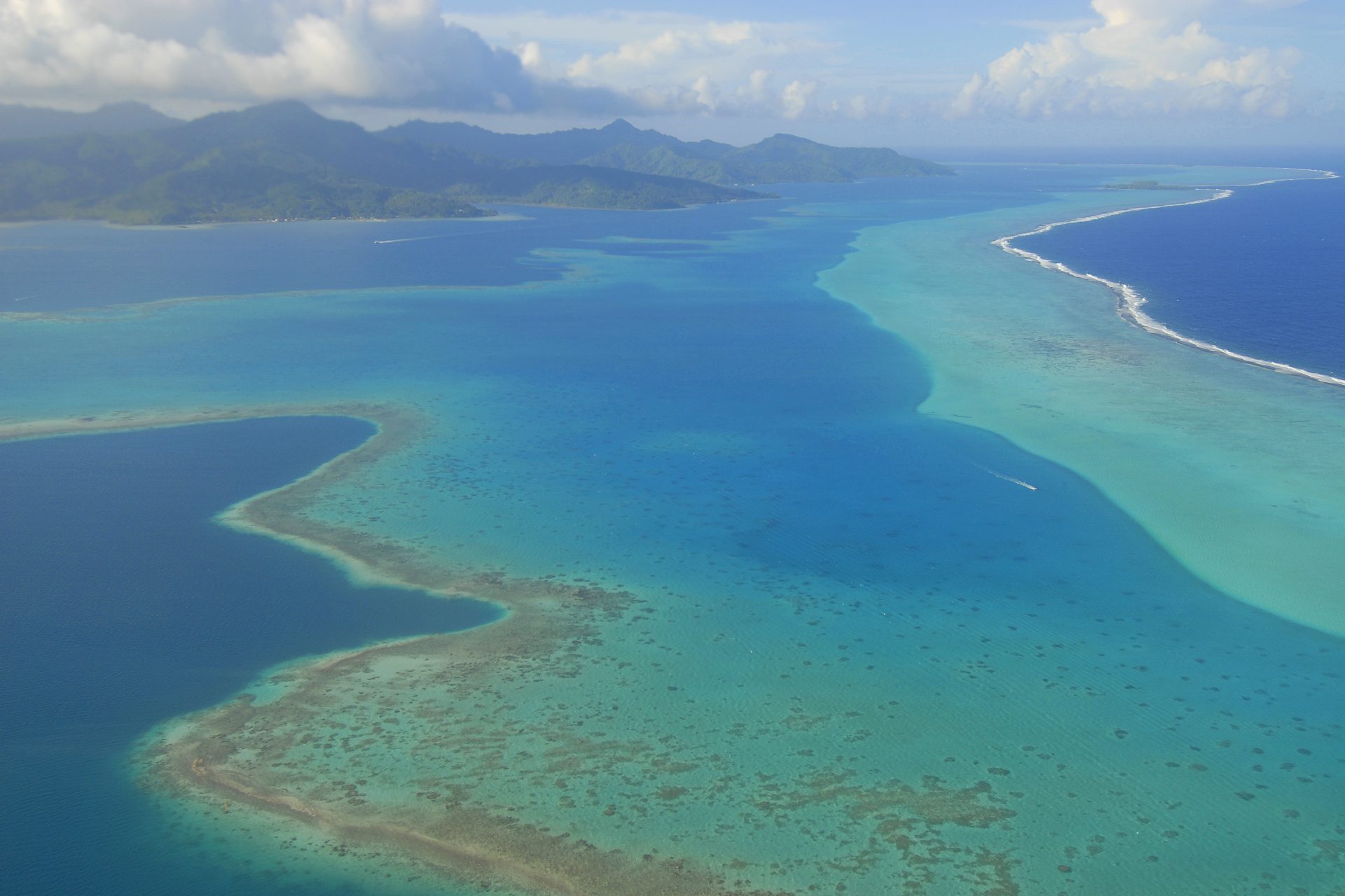 Acusaciones de colonialismo y temores por el daño a los corales en Tahití