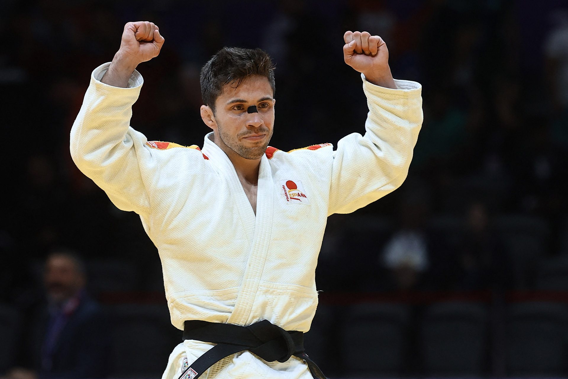 Francisco Garrigós (judo)