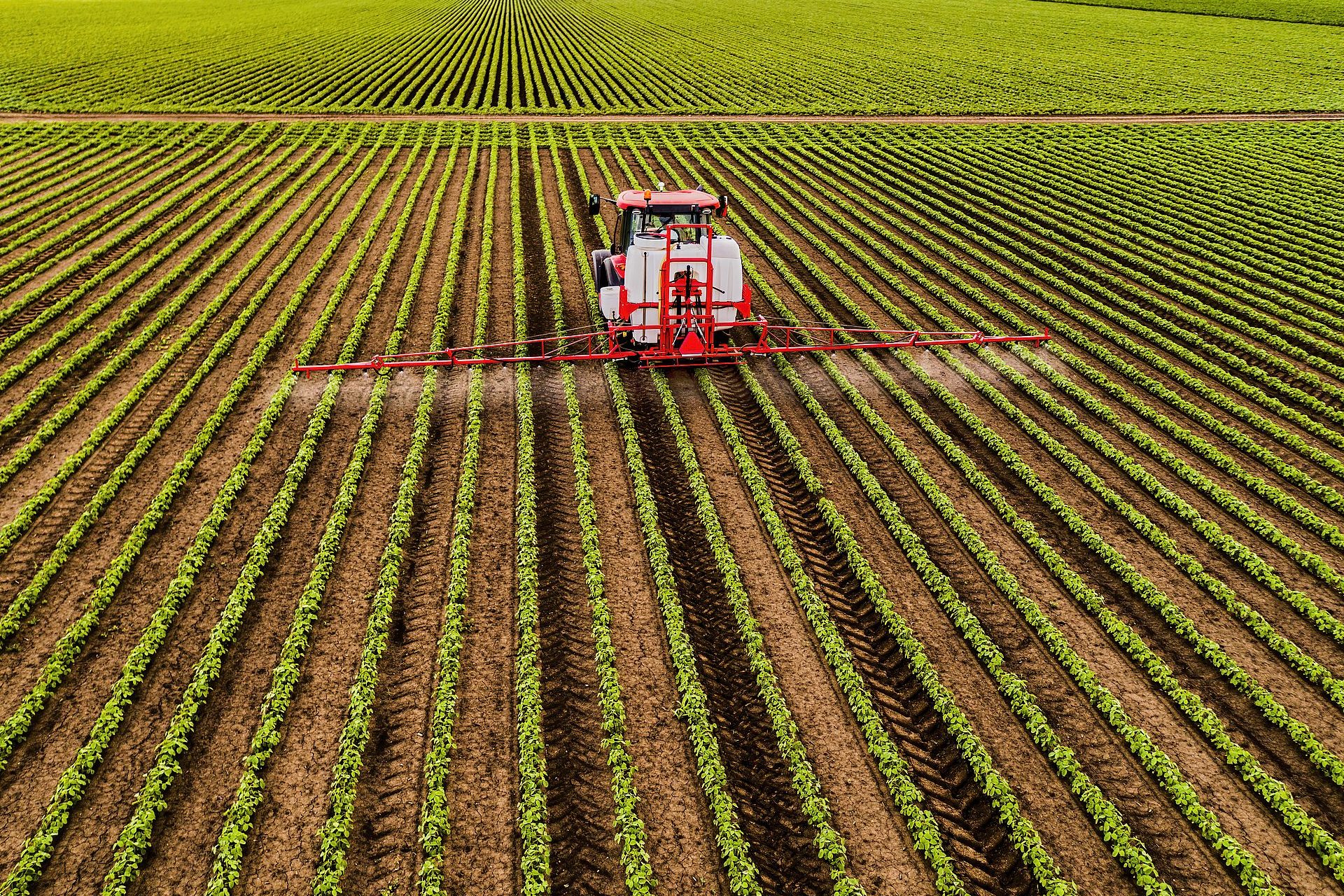 Les pesticides seraient un facteur de cancer aussi important que le tabagisme, selon une étude