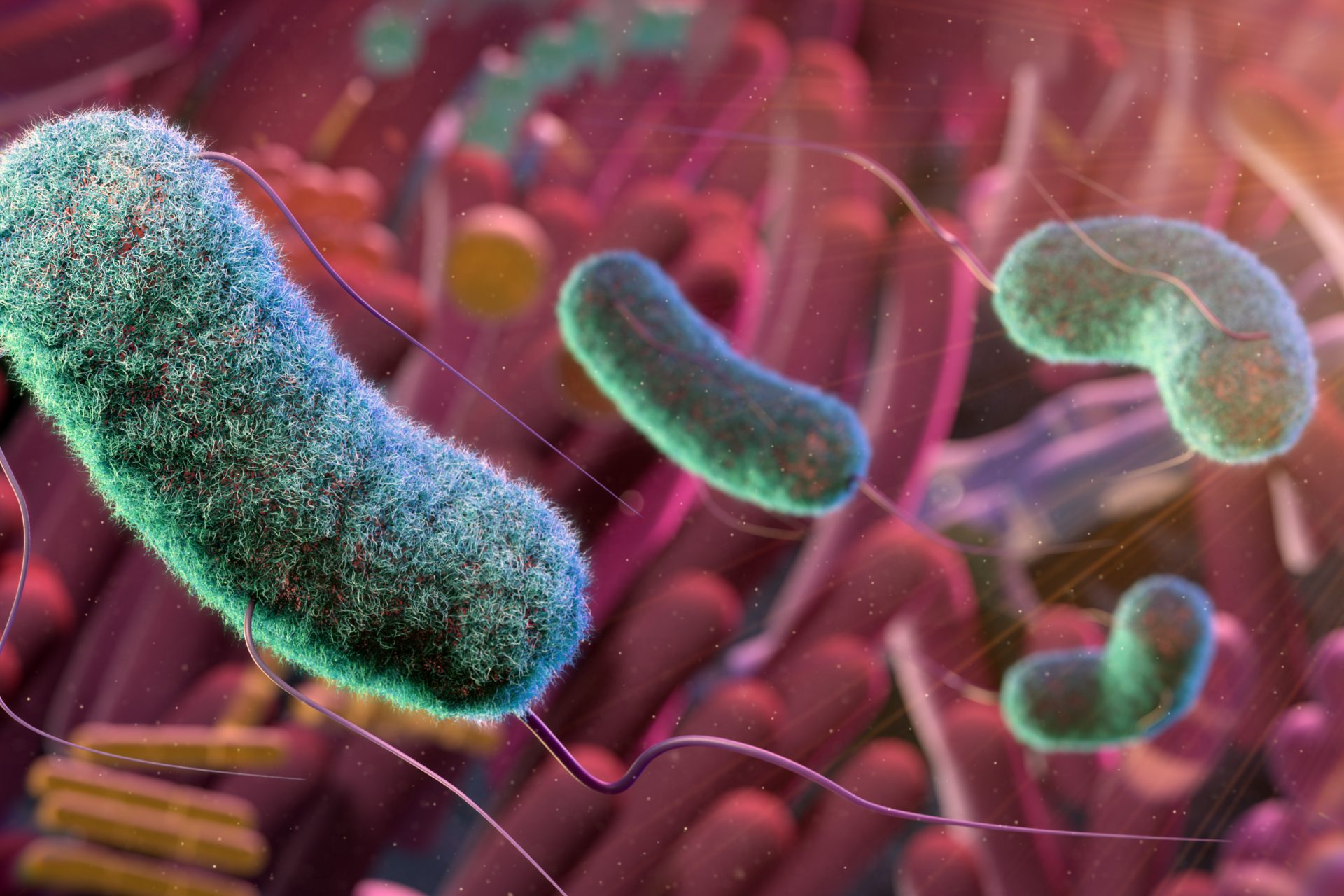 135 000 molécules examinées au microscope