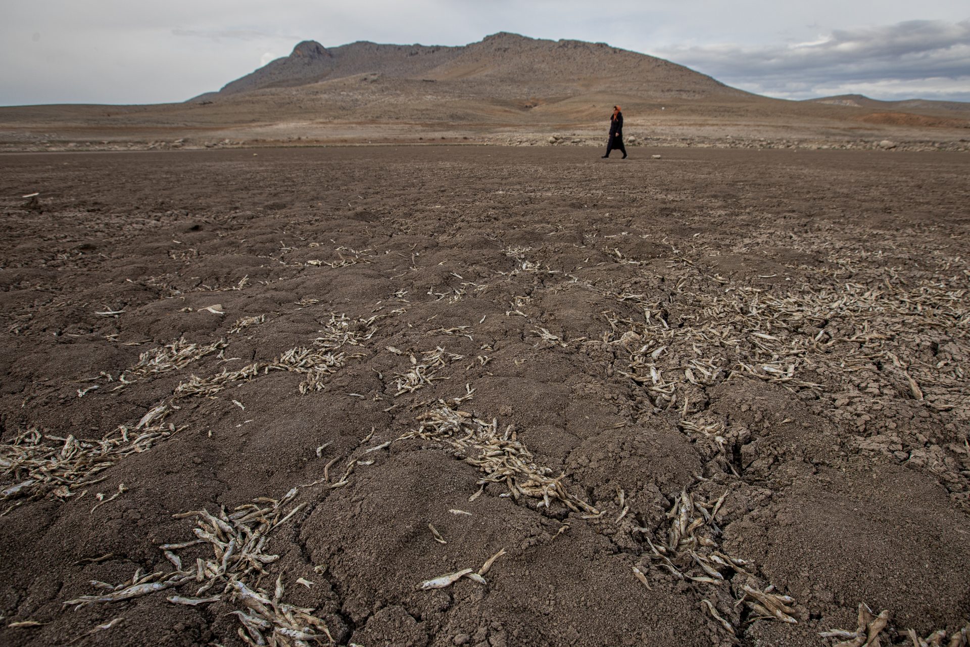 Le changement climatique a déjà modifié la face de la Terre : les preuves en images