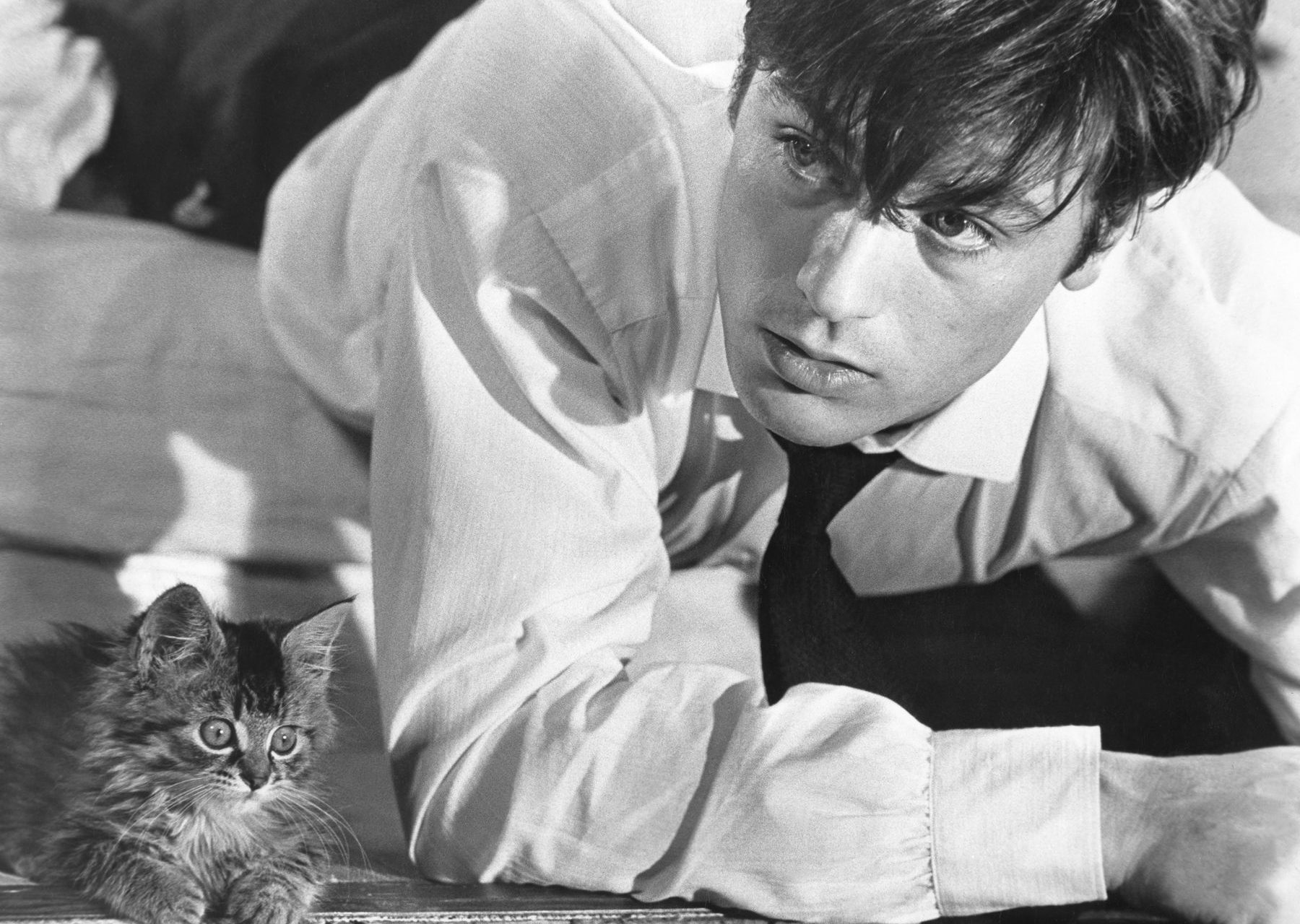 Un hommage à Alain Delon